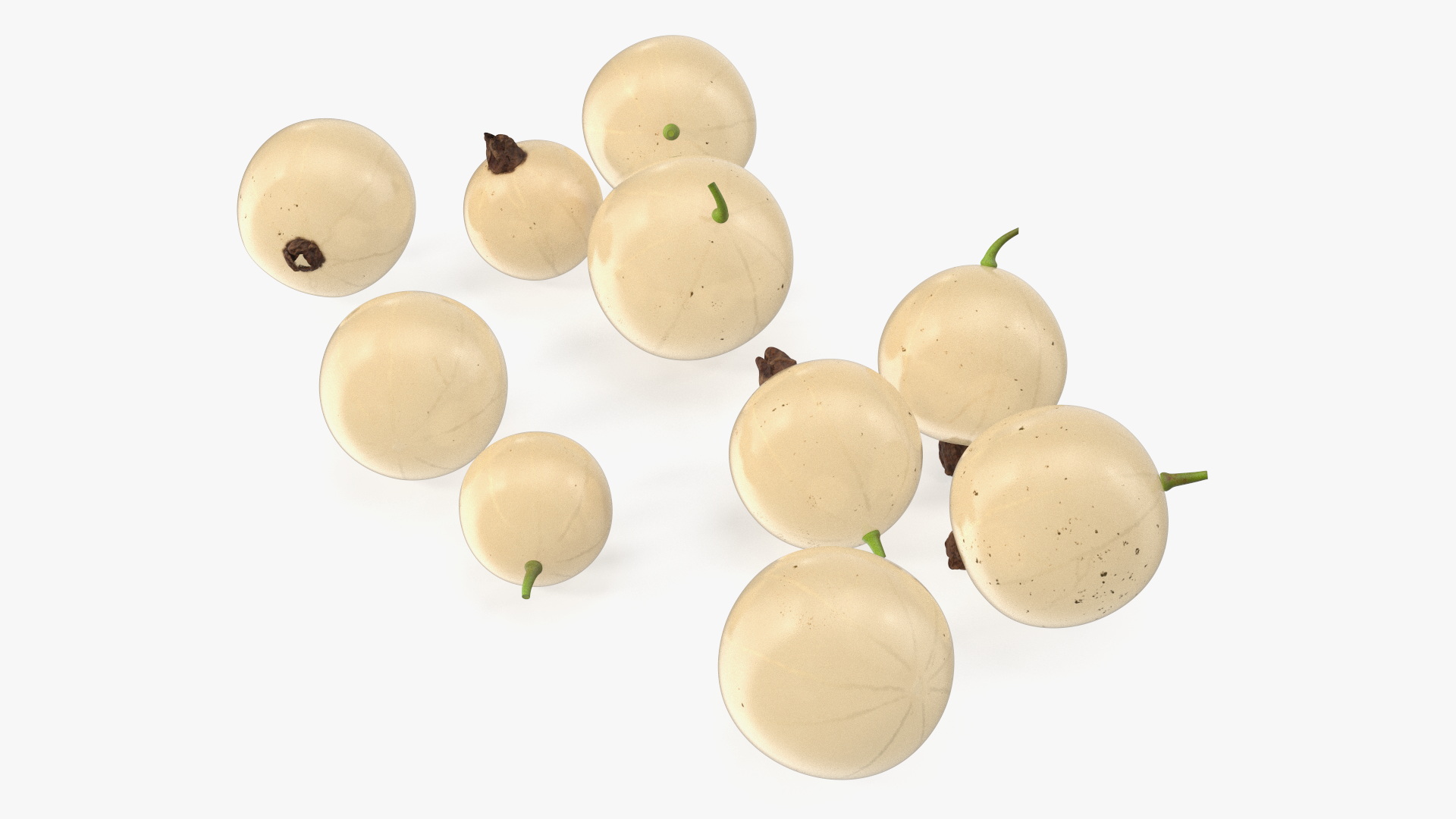 3D White Currant Berries