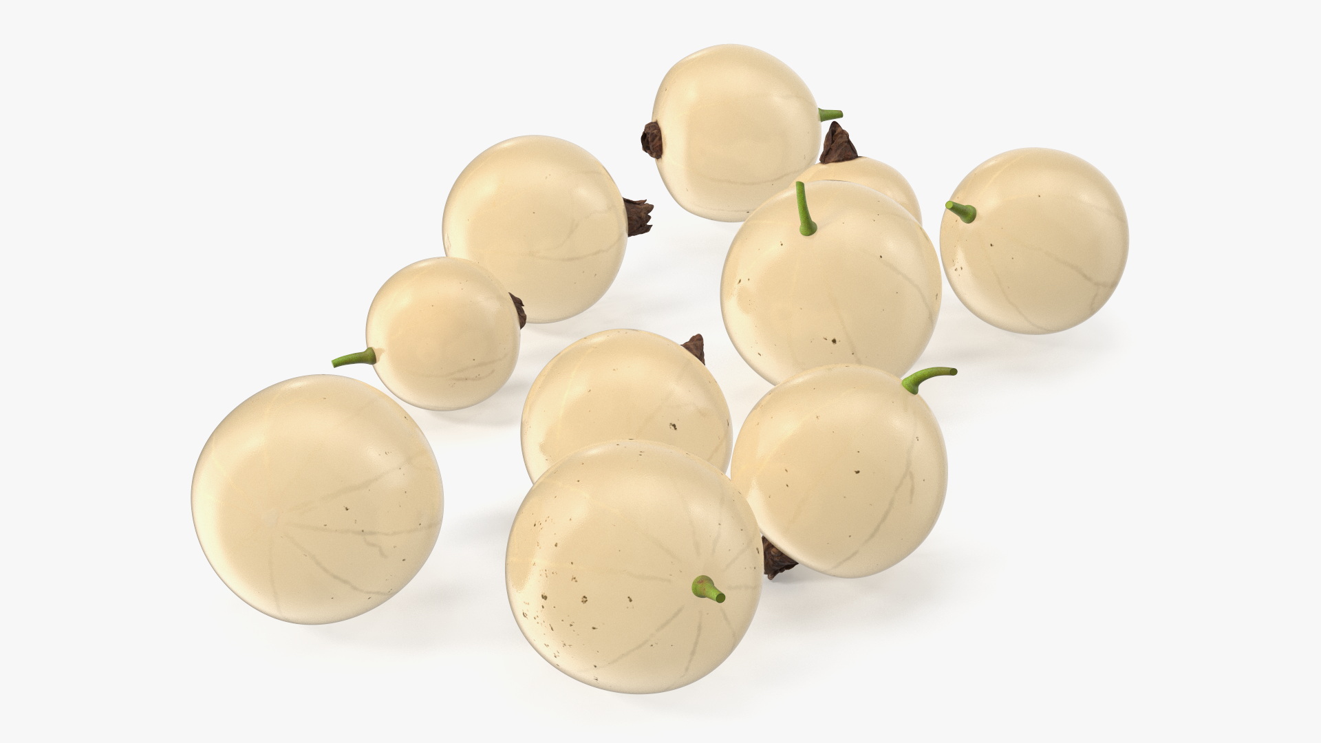 3D White Currant Berries
