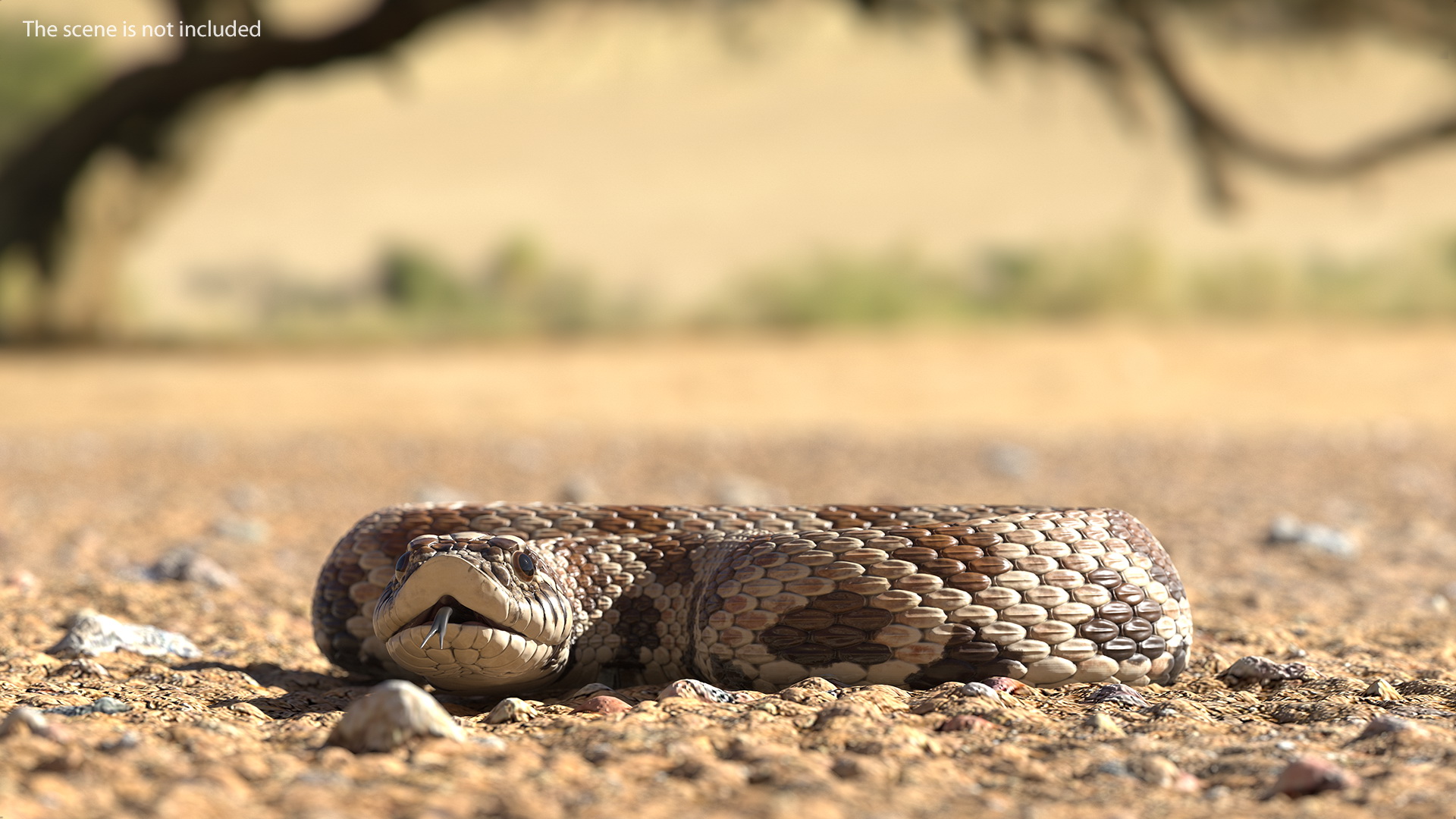 3D Brown Hognose Snake Rigged