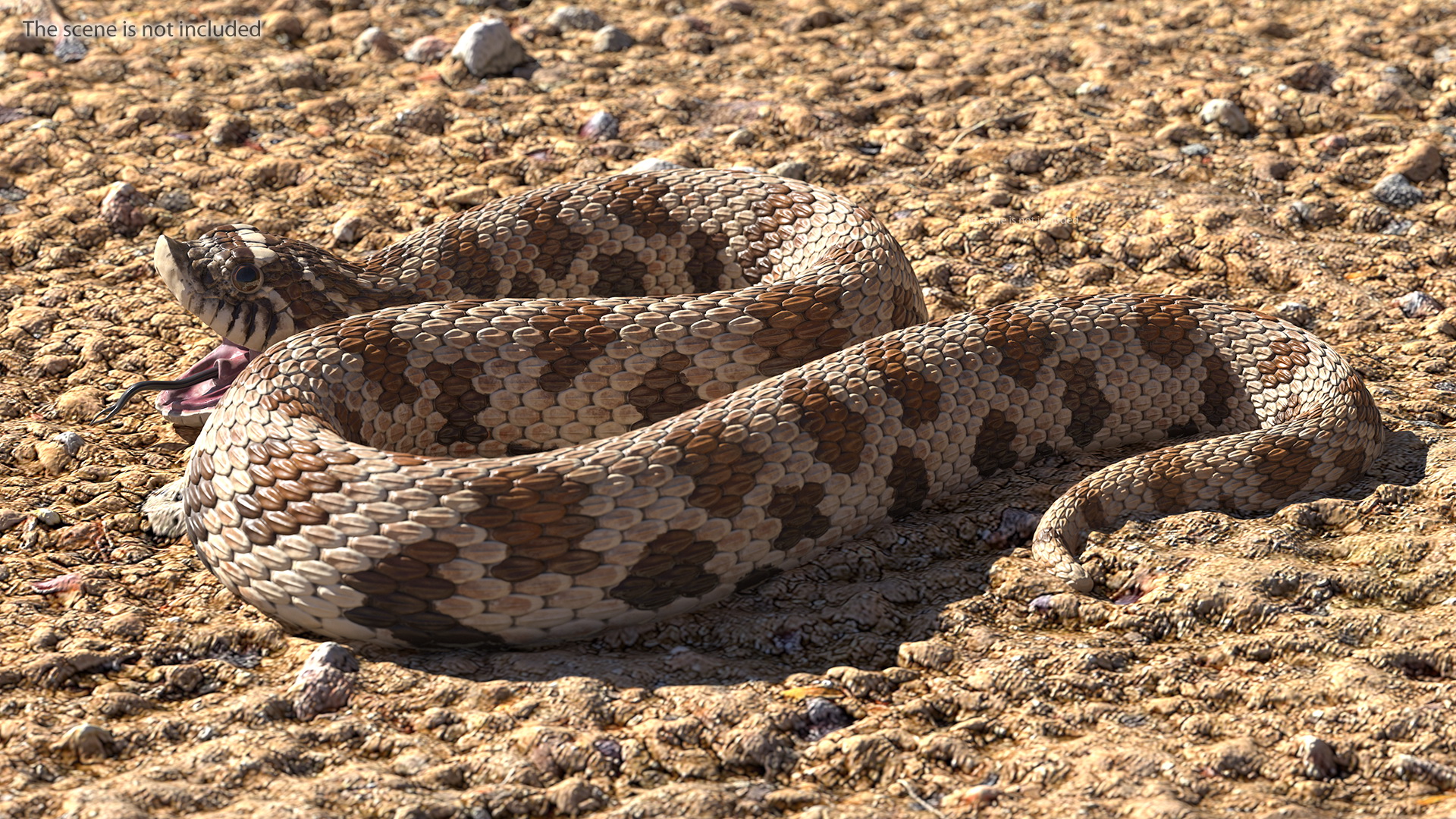 3D Brown Hognose Snake Rigged