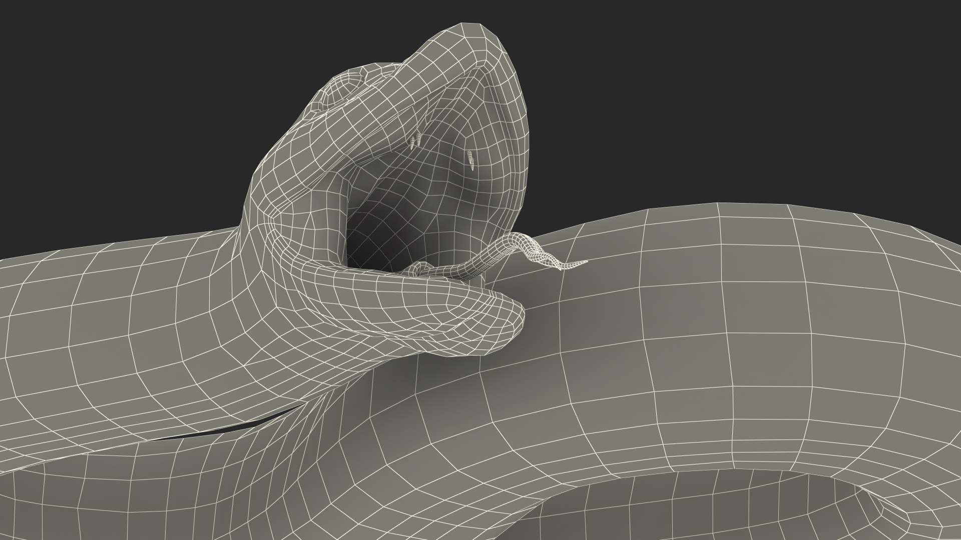 3D Brown Hognose Snake Rigged