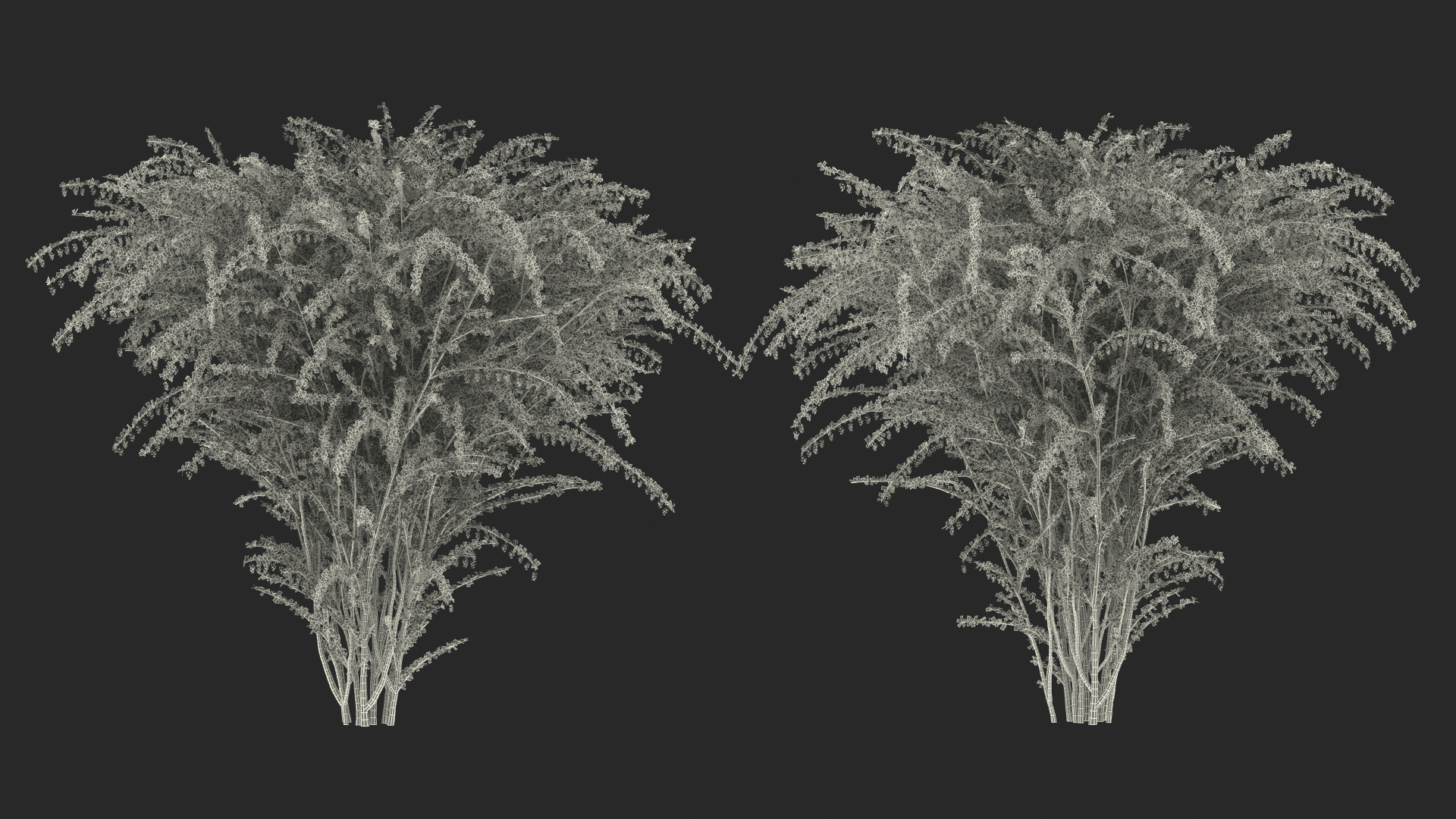 3D Berberis Bush with Flowers