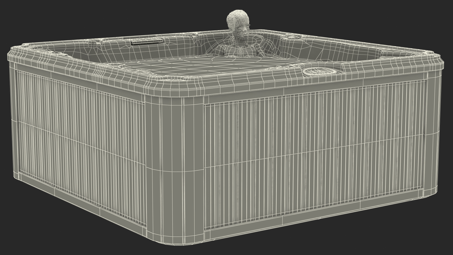 Nude Women in Hot Tub with Water 3D