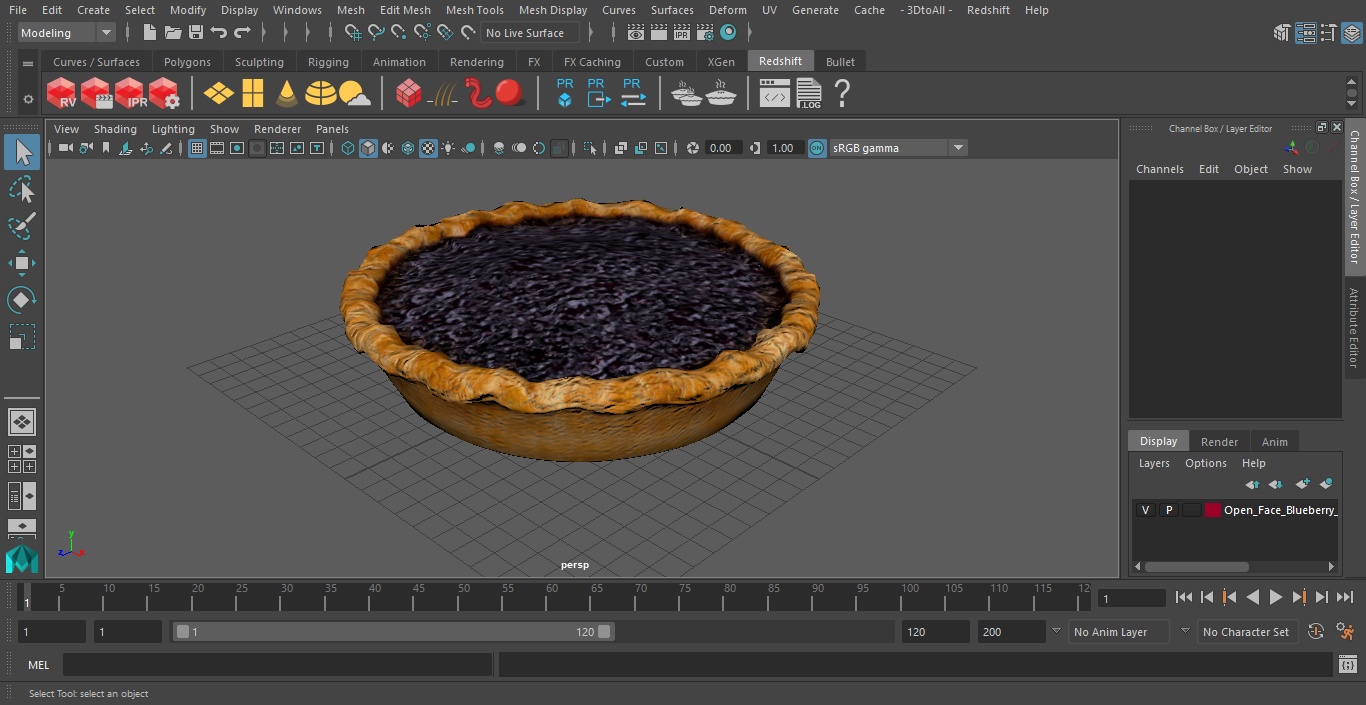 3D Open Face Blueberry Pie model