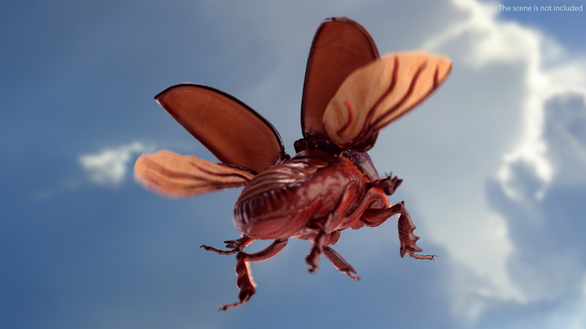 Rhinoceros Beetle Oryctes Nasicornis Flying with Fur 3D