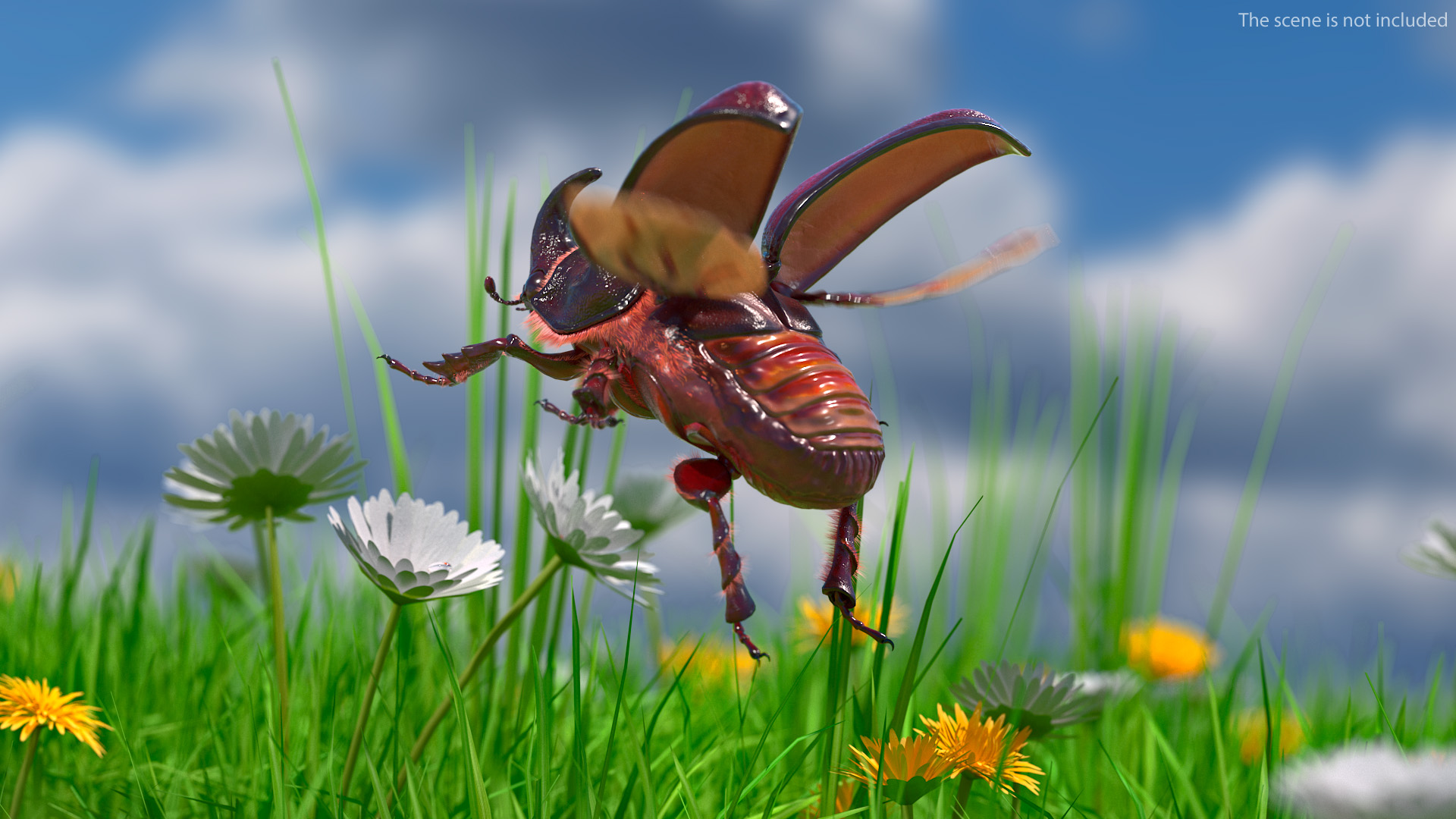 Rhinoceros Beetle Oryctes Nasicornis Flying with Fur 3D