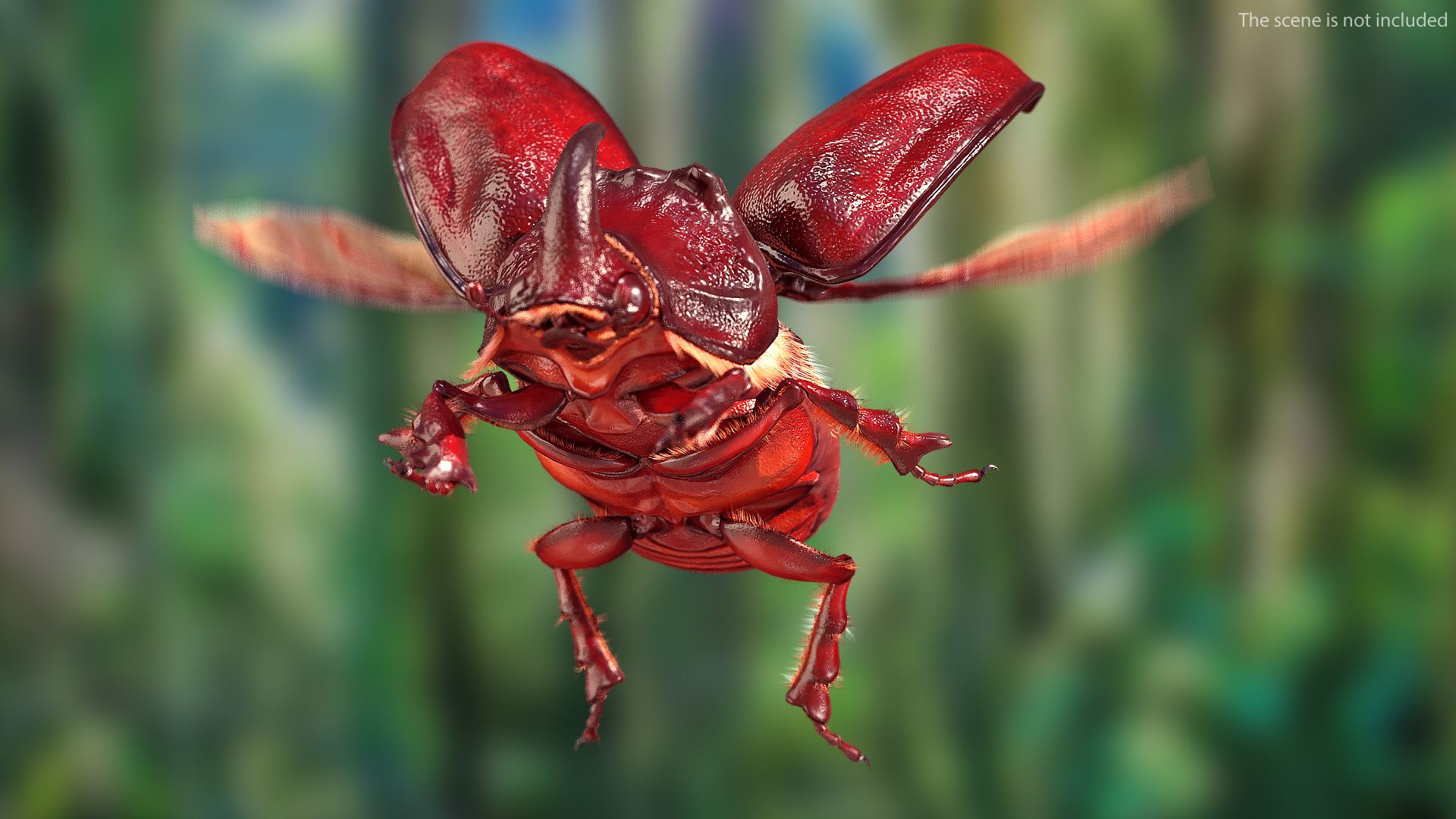 Rhinoceros Beetle Oryctes Nasicornis Flying with Fur 3D