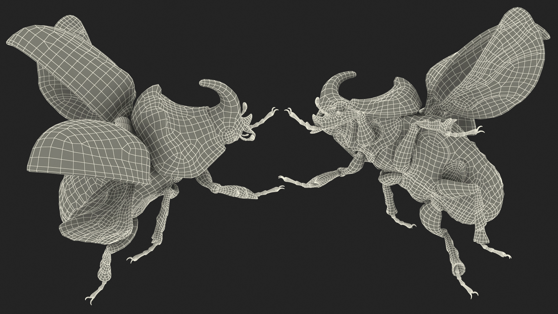 Rhinoceros Beetle Oryctes Nasicornis Flying with Fur 3D