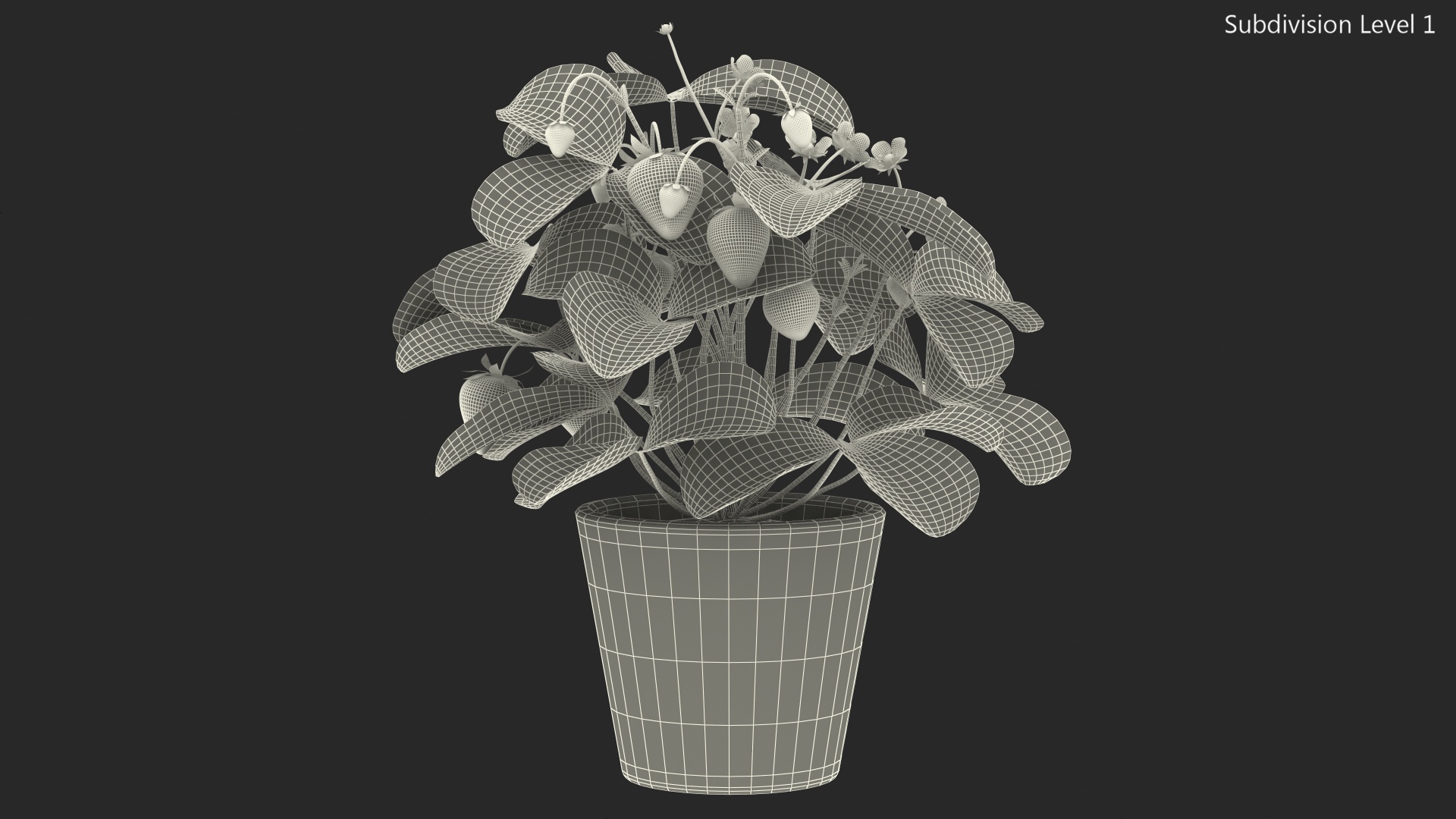 3D model Strawberry Plant with Fruits in Pot
