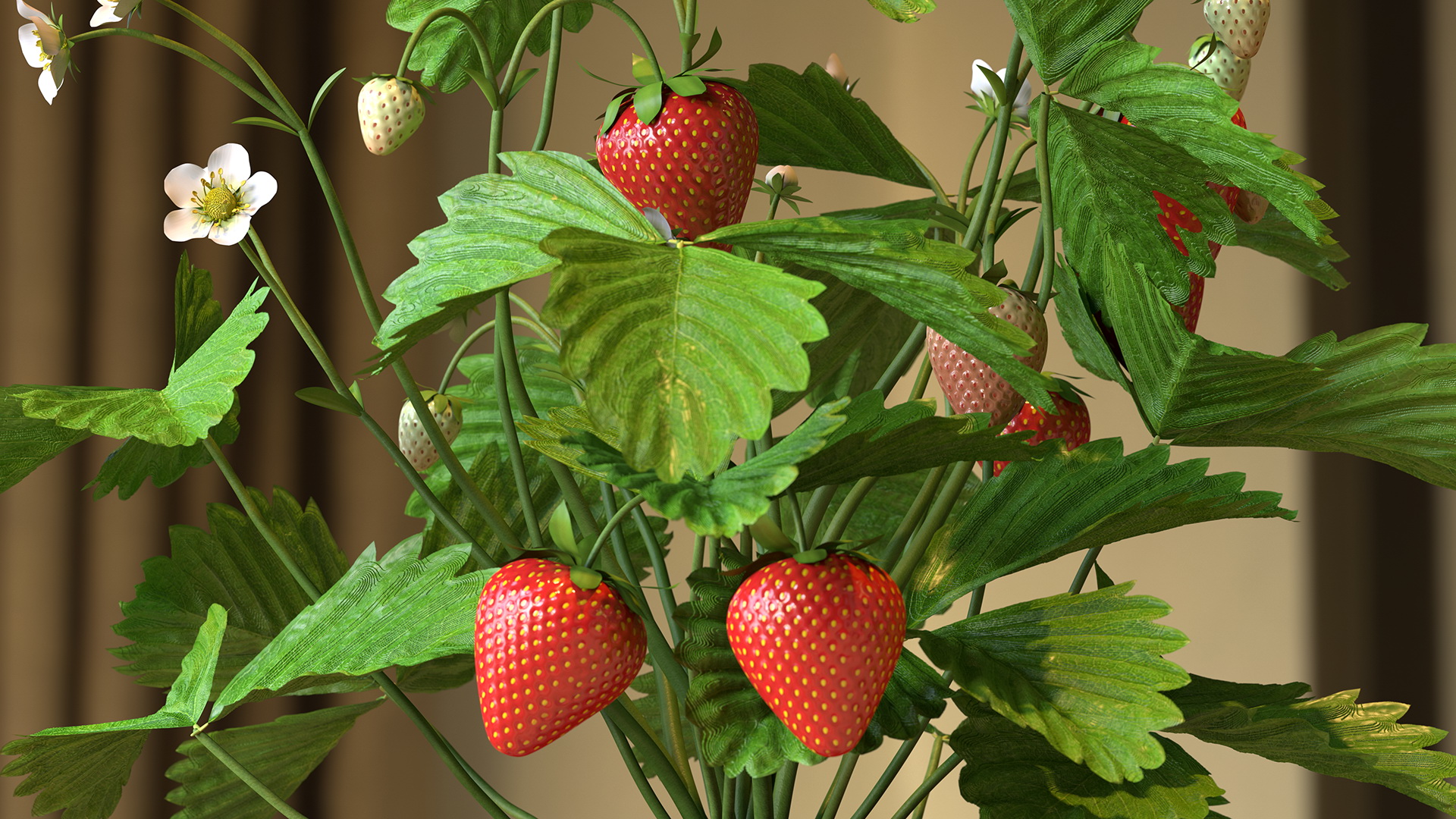 3D model Strawberry Plant with Fruits in Pot