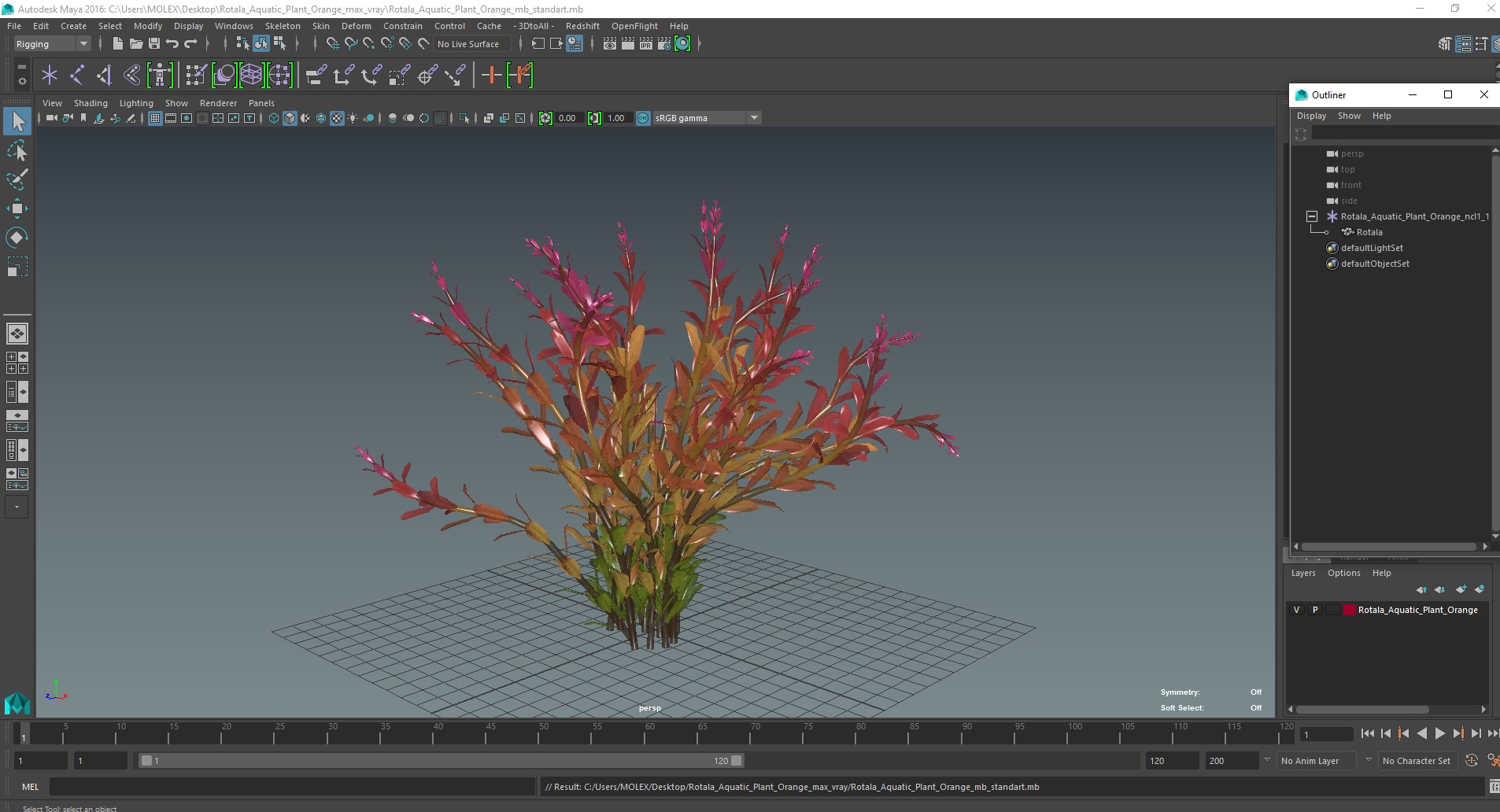 Rotala Aquatic Plant Orange 3D