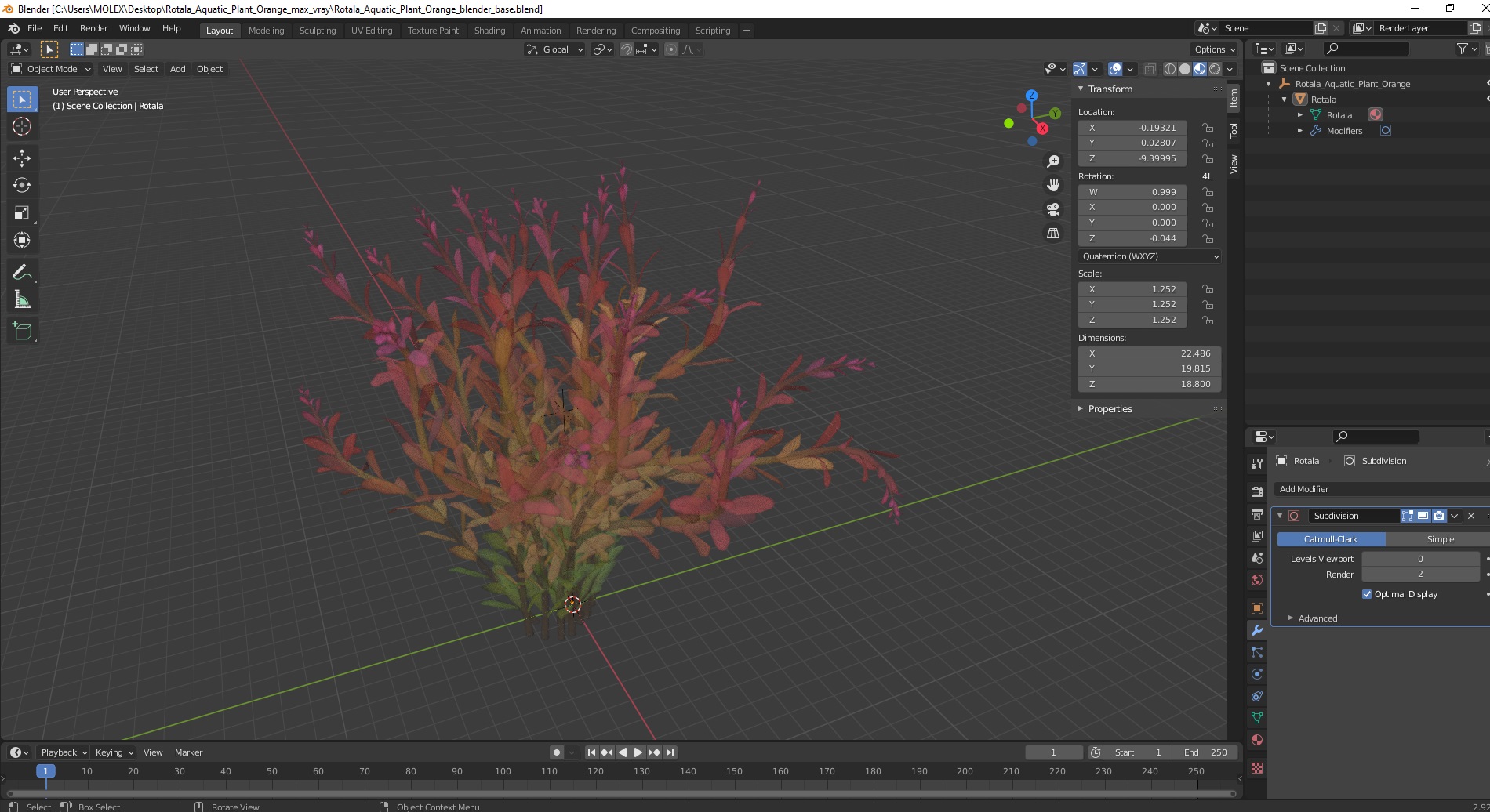 Rotala Aquatic Plant Orange 3D