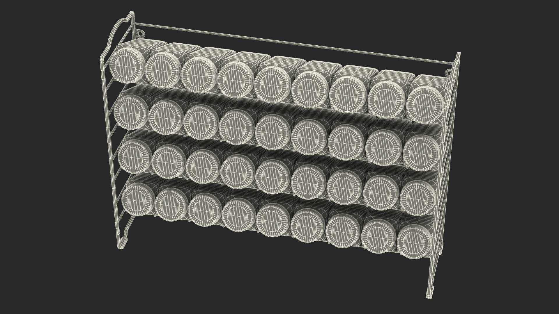 Spice Rack Organizer SpaceAid 3D model