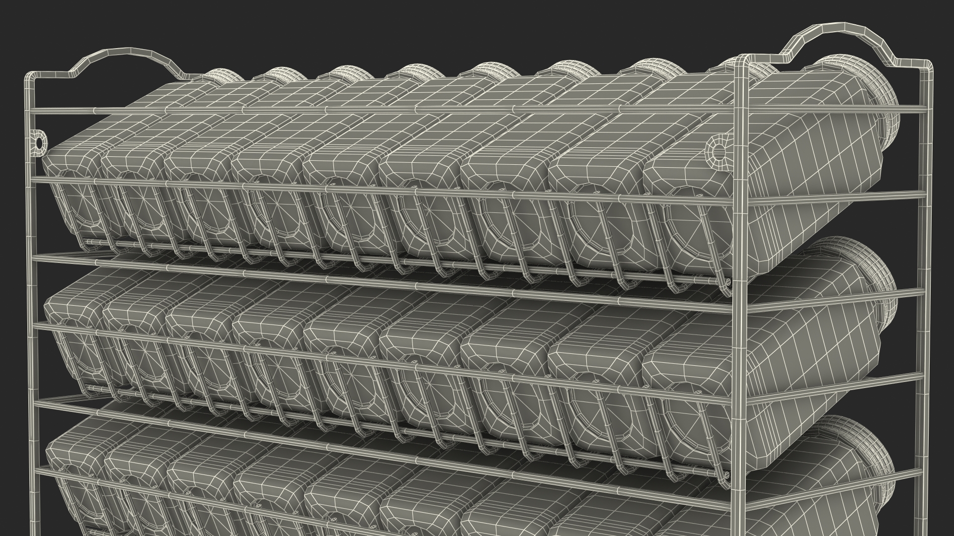 Spice Rack Organizer SpaceAid 3D model