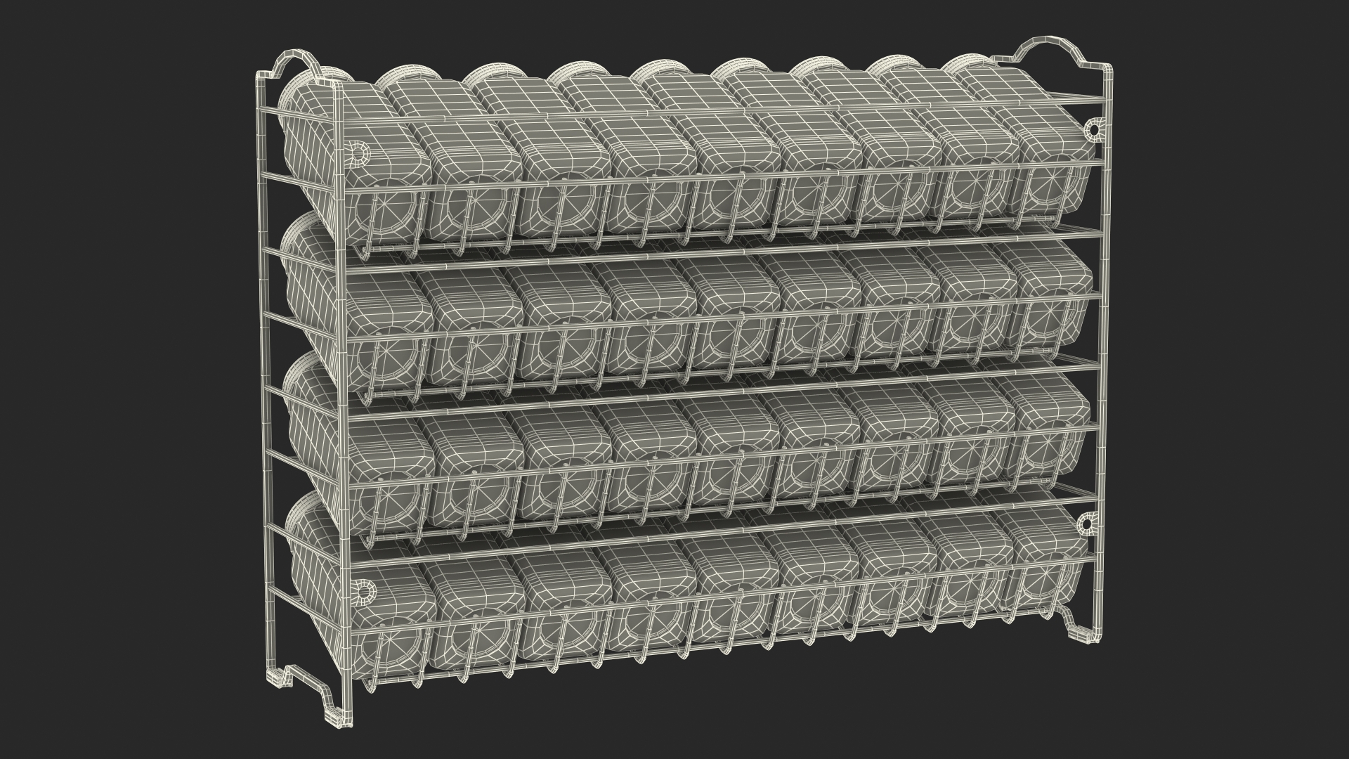 Spice Rack Organizer SpaceAid 3D model