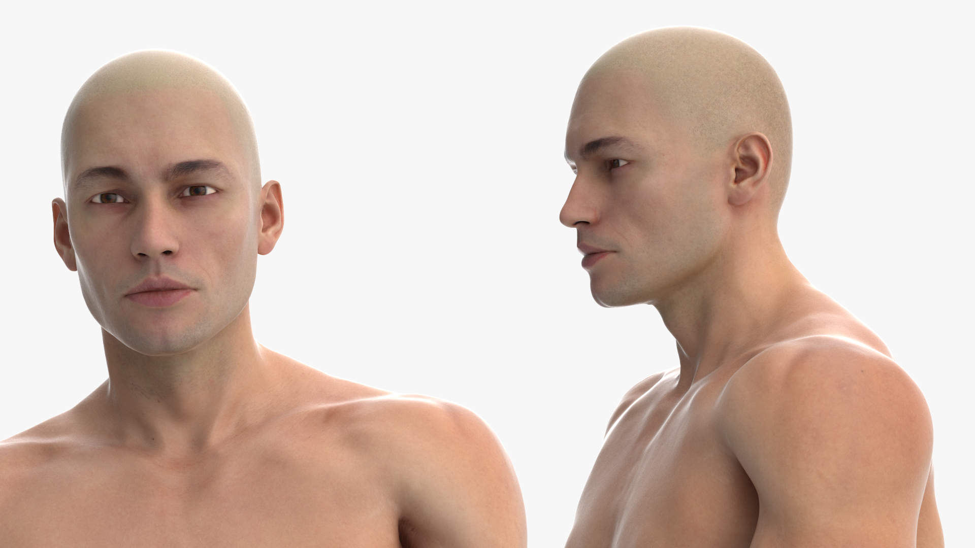 3D model Male Physique Character Rigged