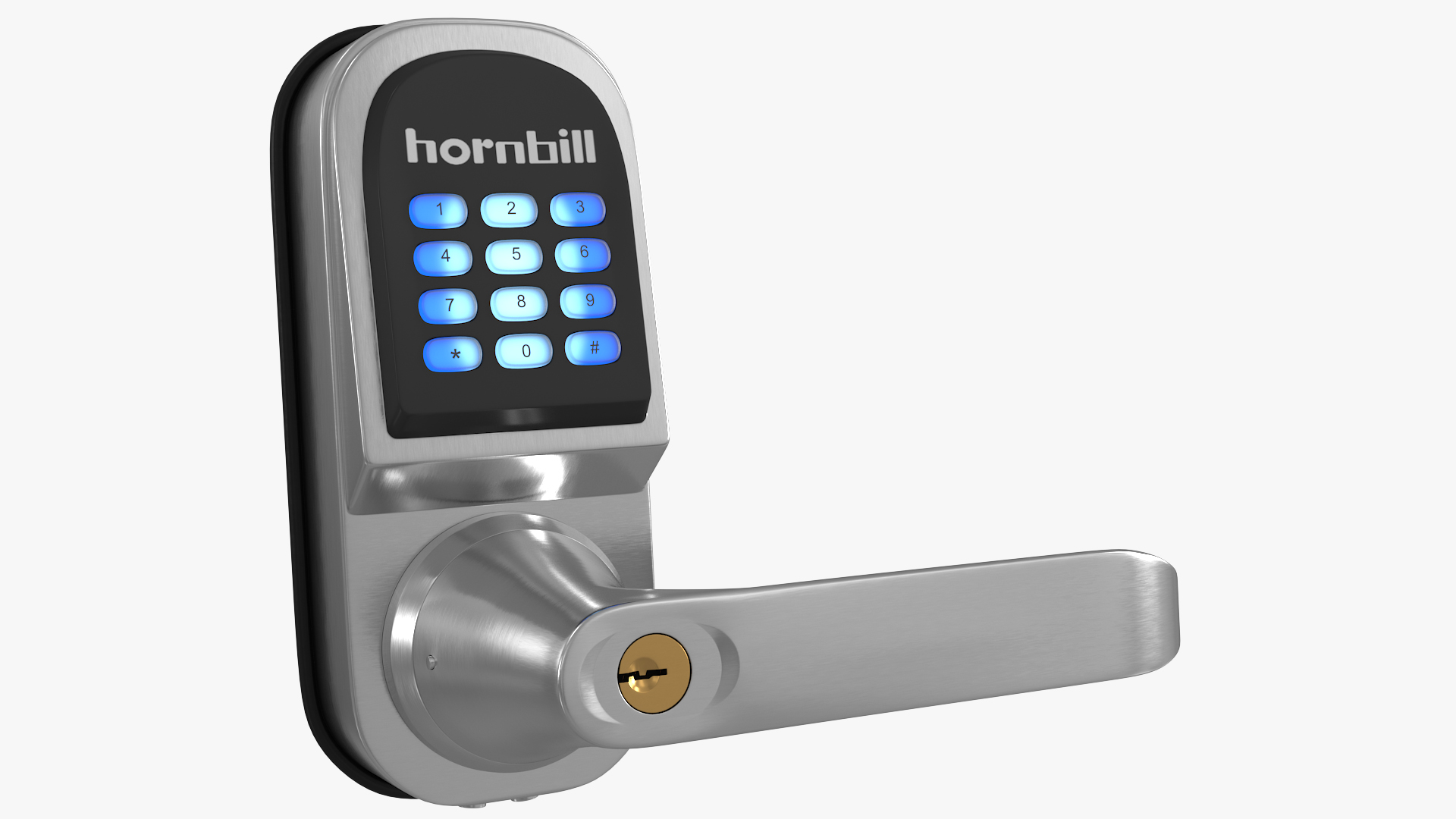 3D Hornbill Smart Lock with Keypad Door Knob Silver model