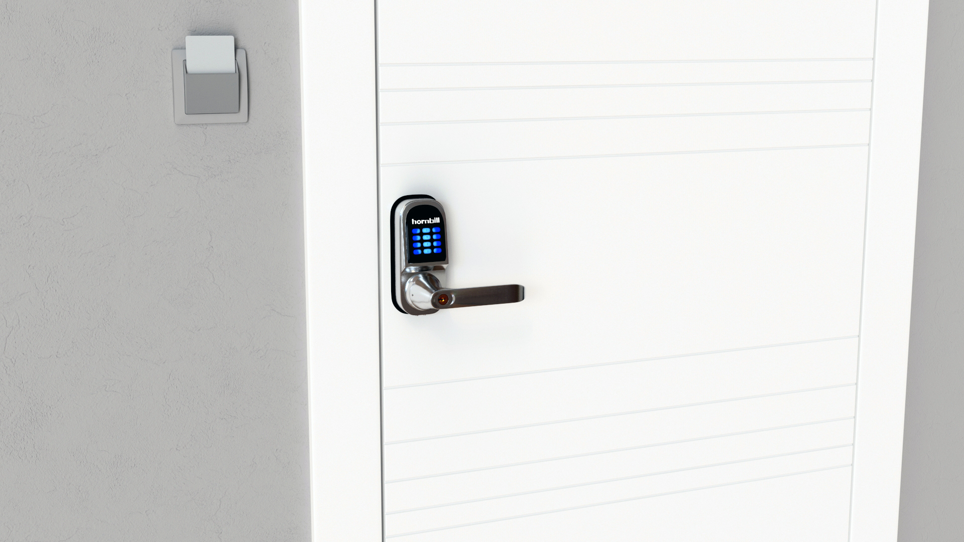 3D Hornbill Smart Lock with Keypad Door Knob Silver model