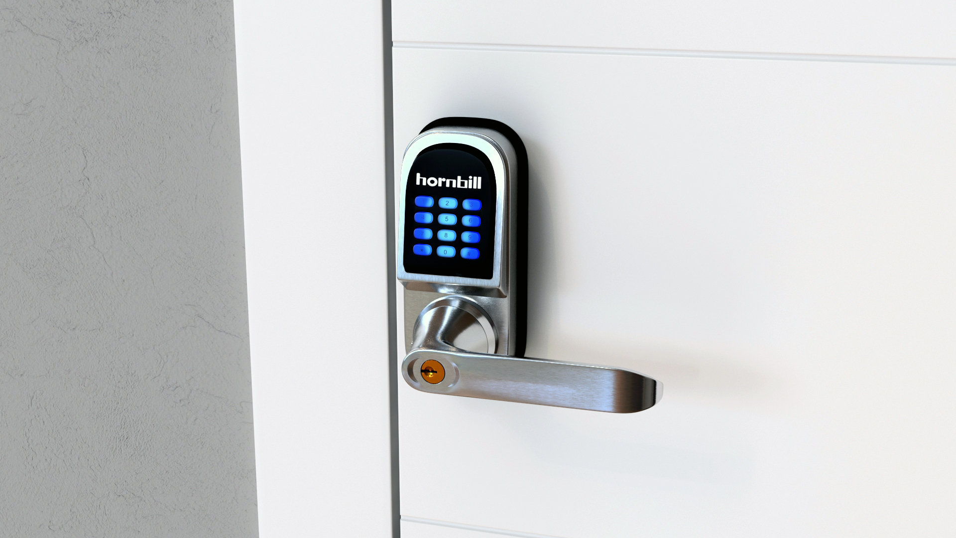 3D Hornbill Smart Lock with Keypad Door Knob Silver model