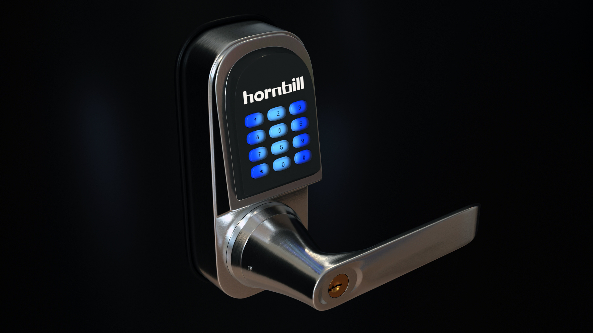 3D Hornbill Smart Lock with Keypad Door Knob Silver model
