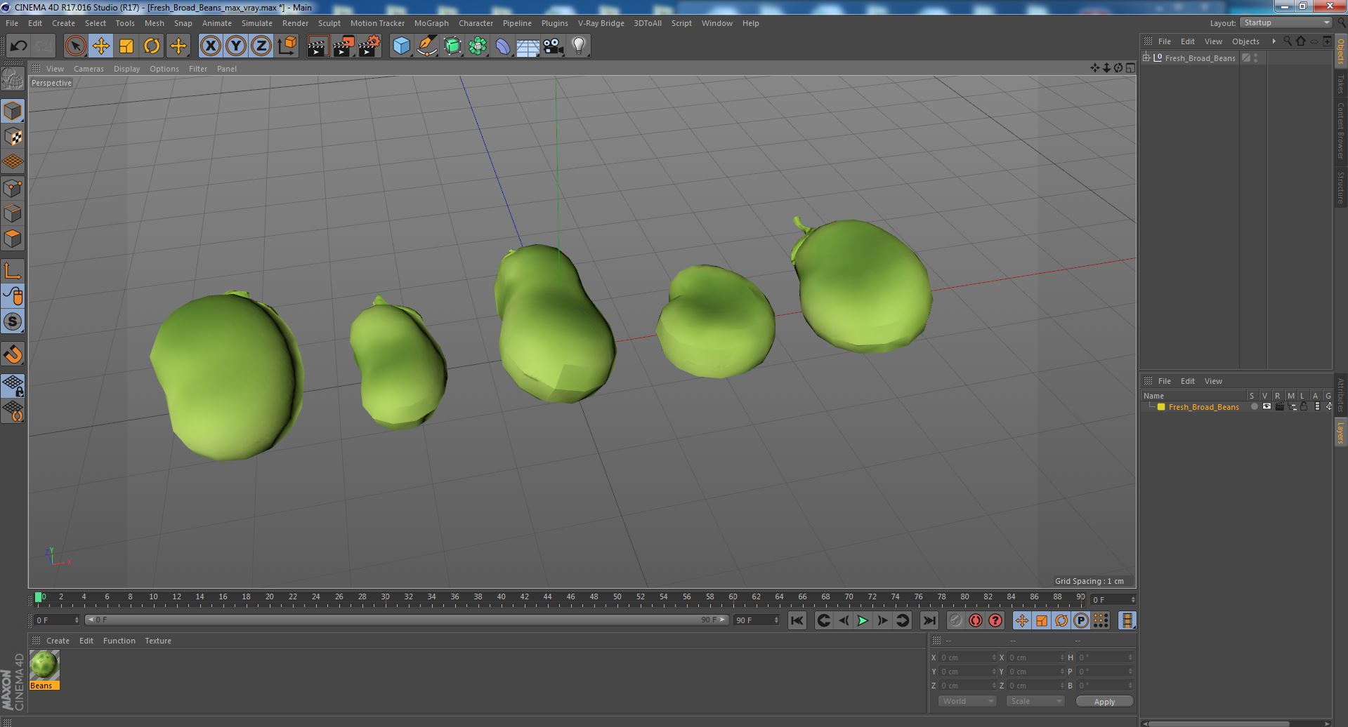 Fresh Broad Beans 3D