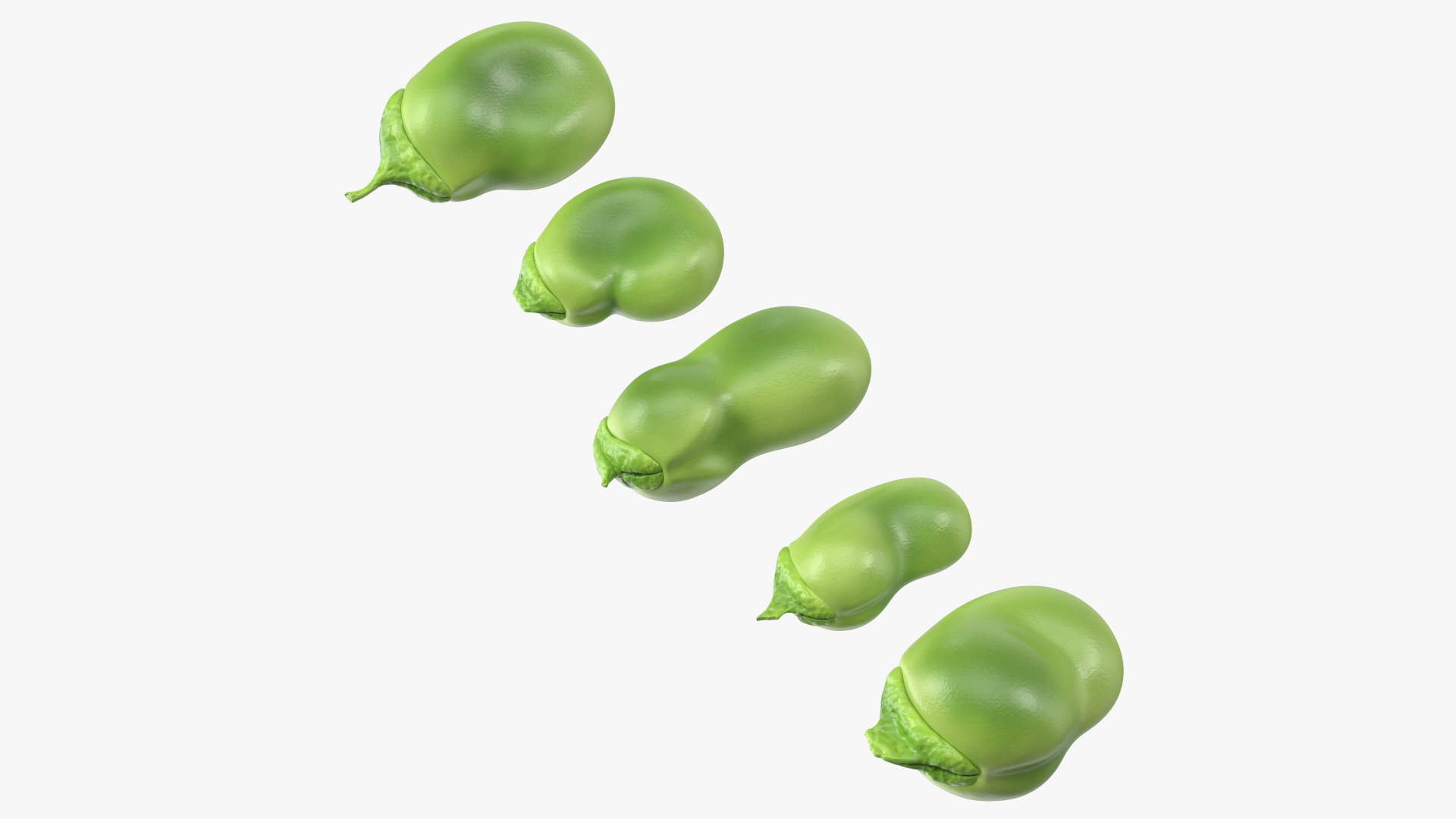 Fresh Broad Beans 3D