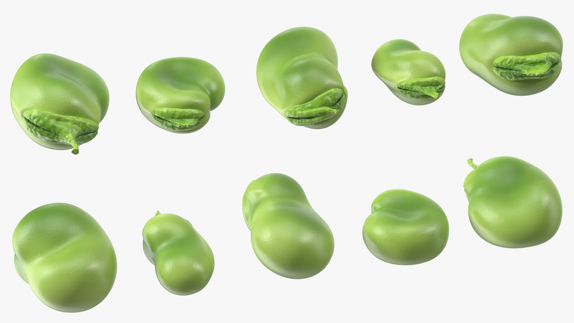 Fresh Broad Beans 3D