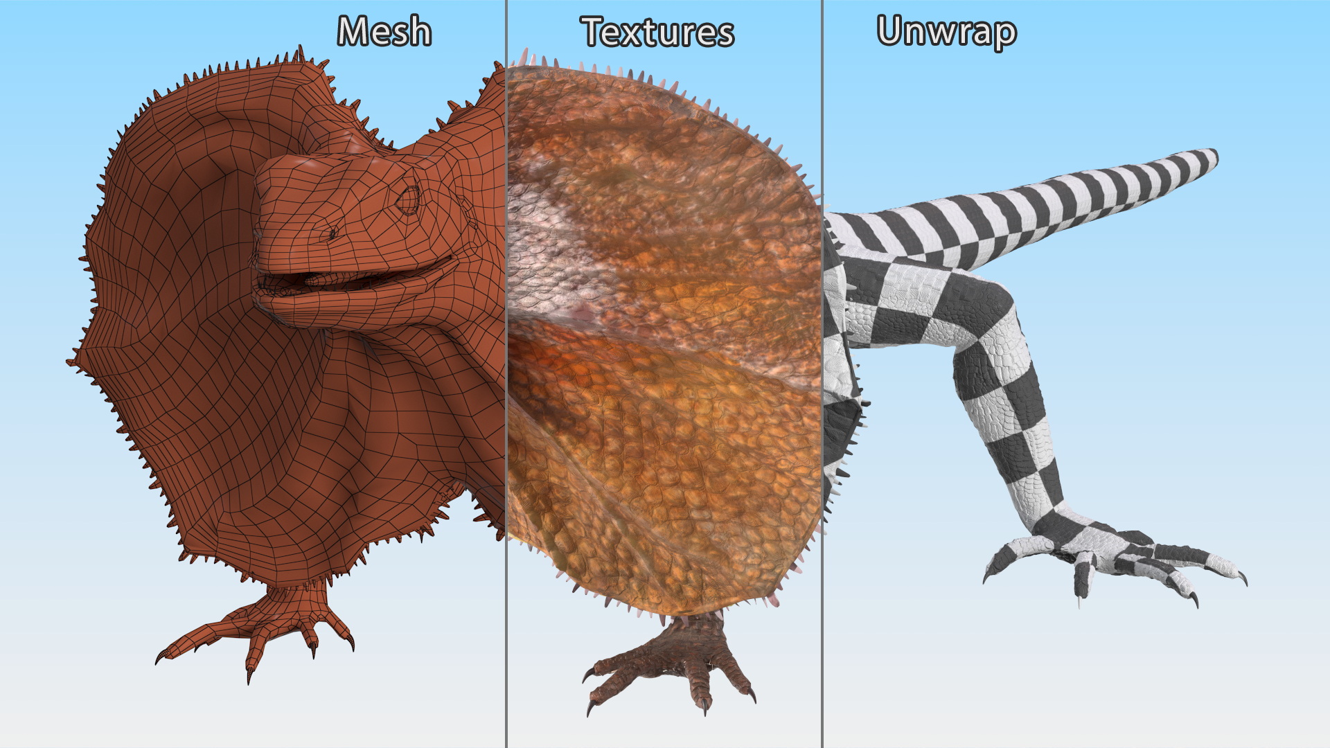Frilled Lizard 3D model