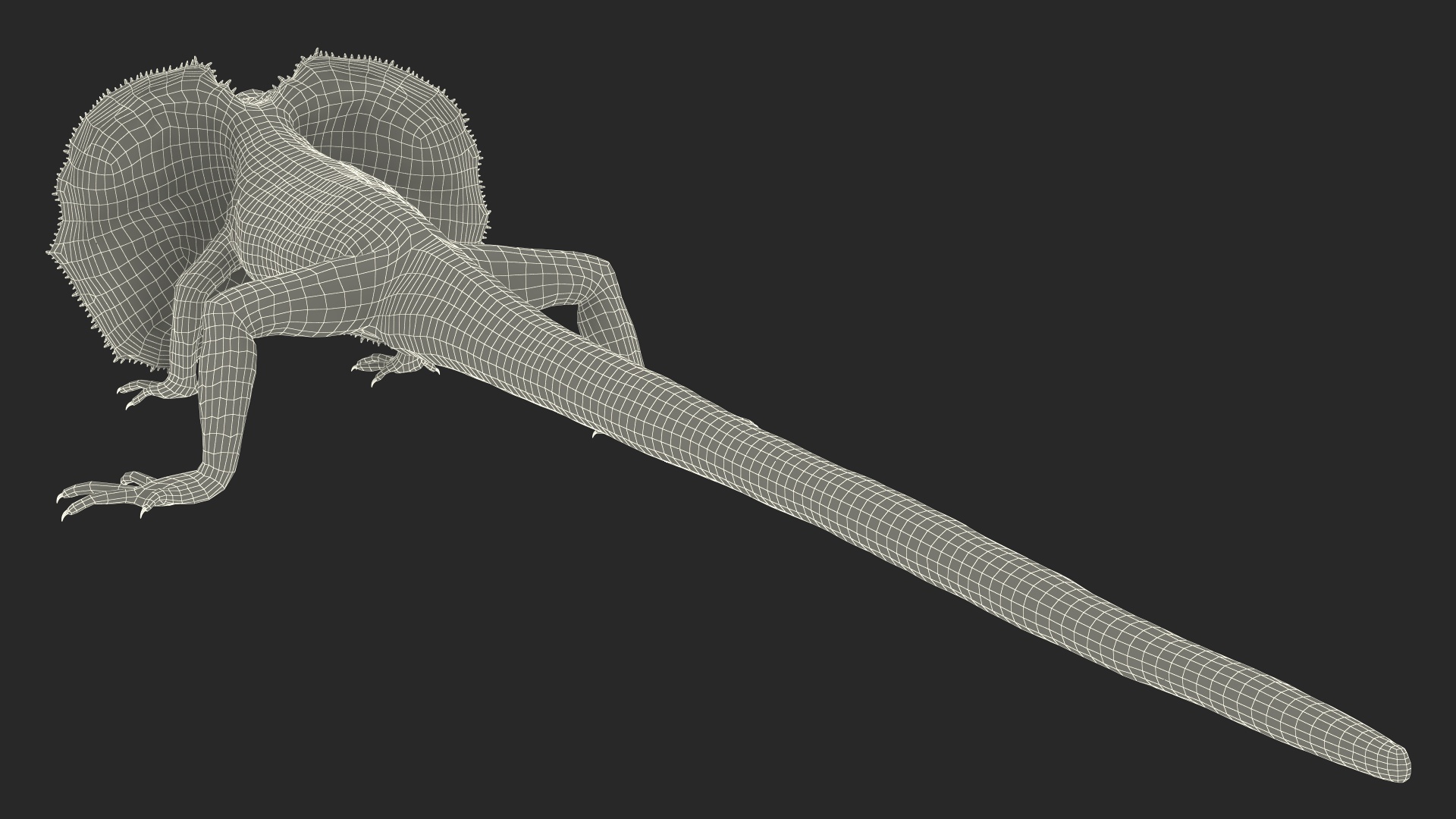 Frilled Lizard 3D model