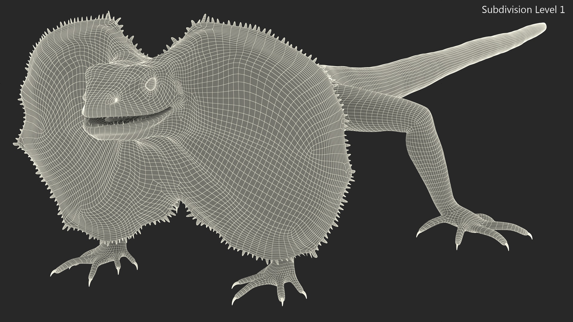 Frilled Lizard 3D model