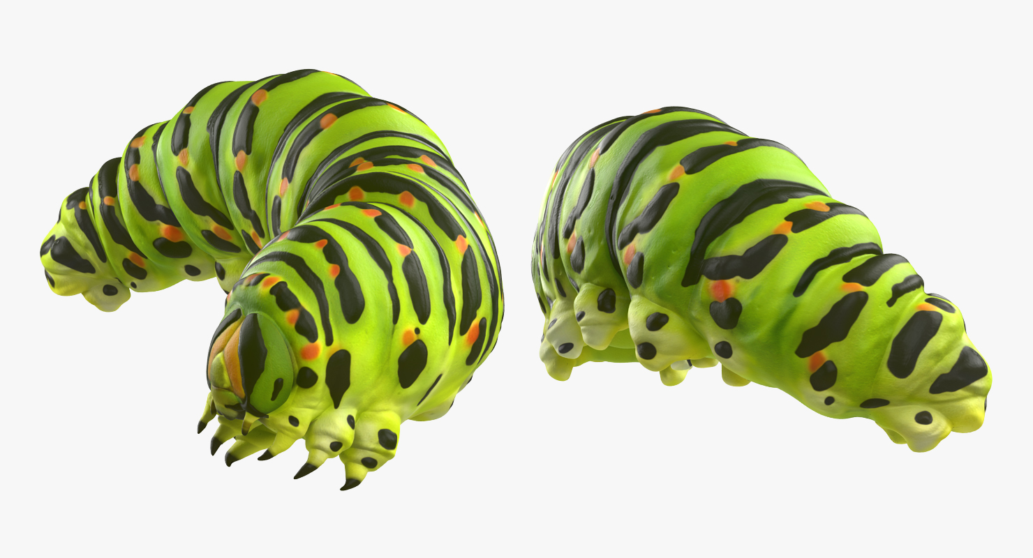 3D Caterpillar Pose 4 model