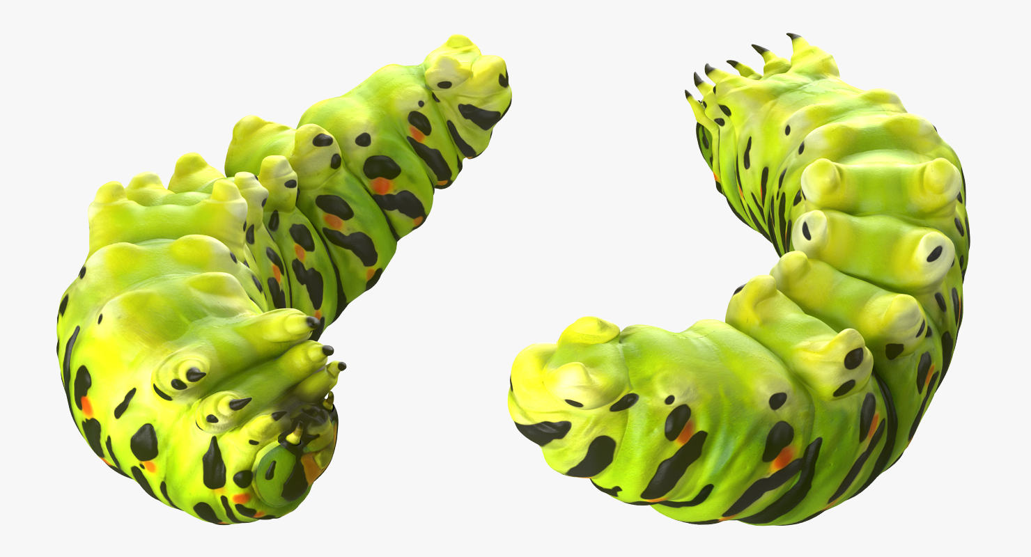 3D Caterpillar Pose 4 model
