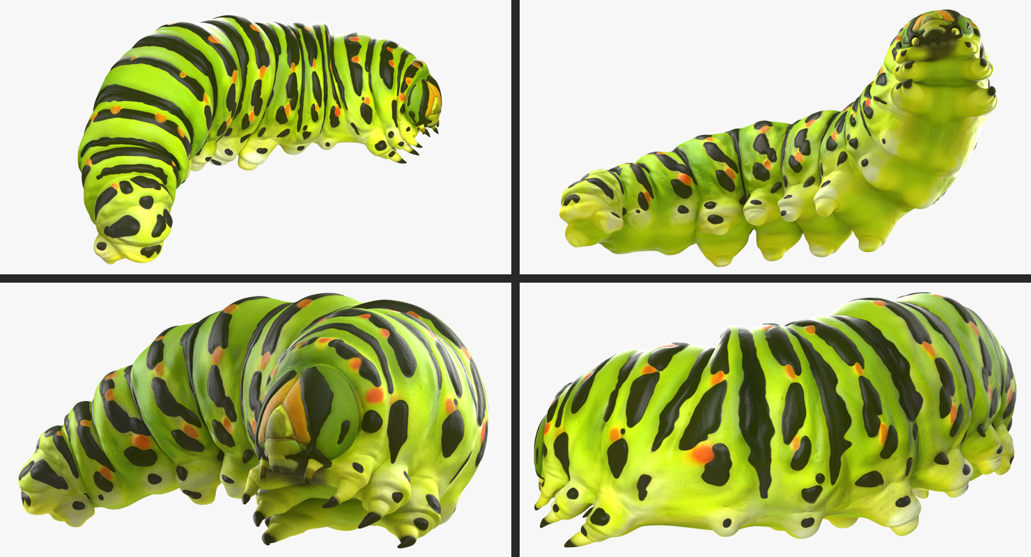 3D Caterpillar Pose 4 model
