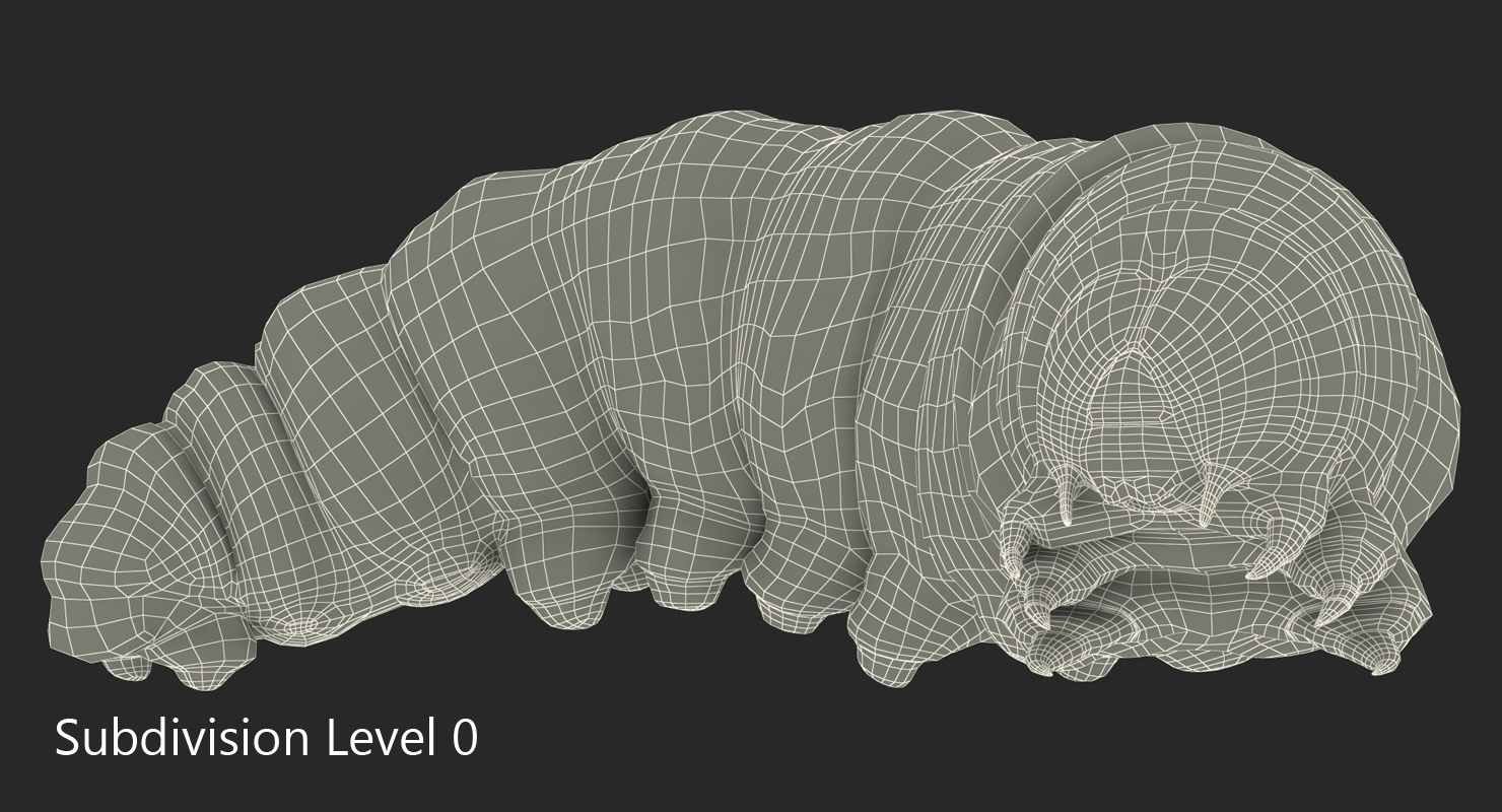 3D Caterpillar Pose 4 model