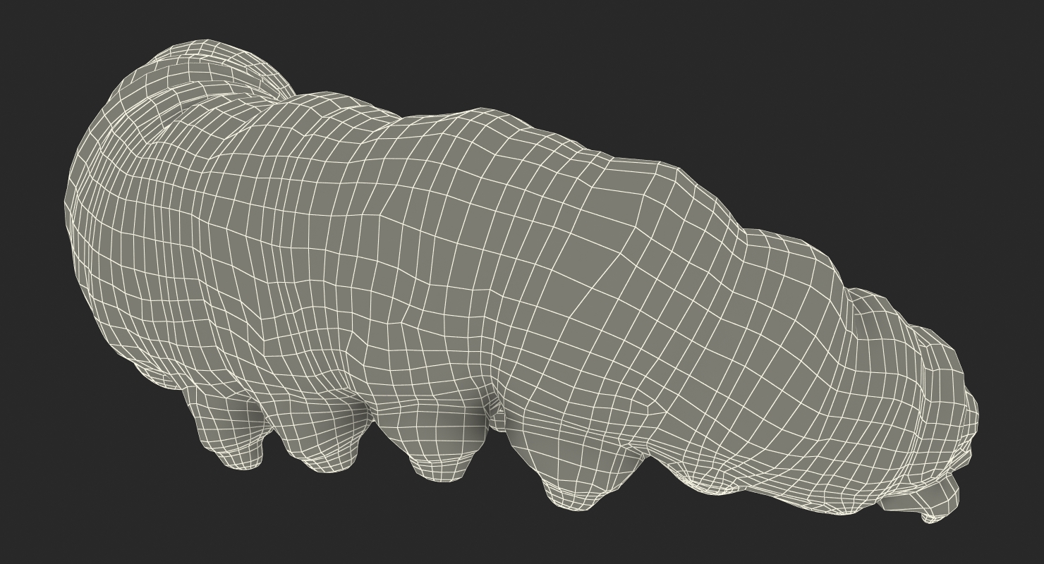 3D Caterpillar Pose 4 model