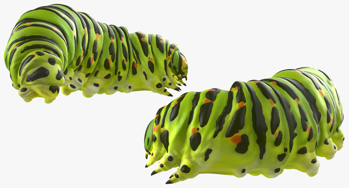 3D Caterpillar Pose 4 model