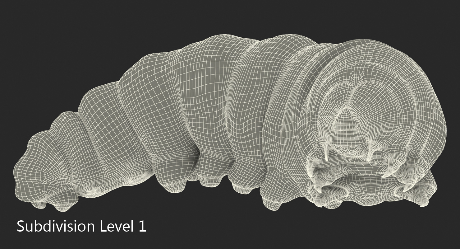 3D Caterpillar Pose 4 model