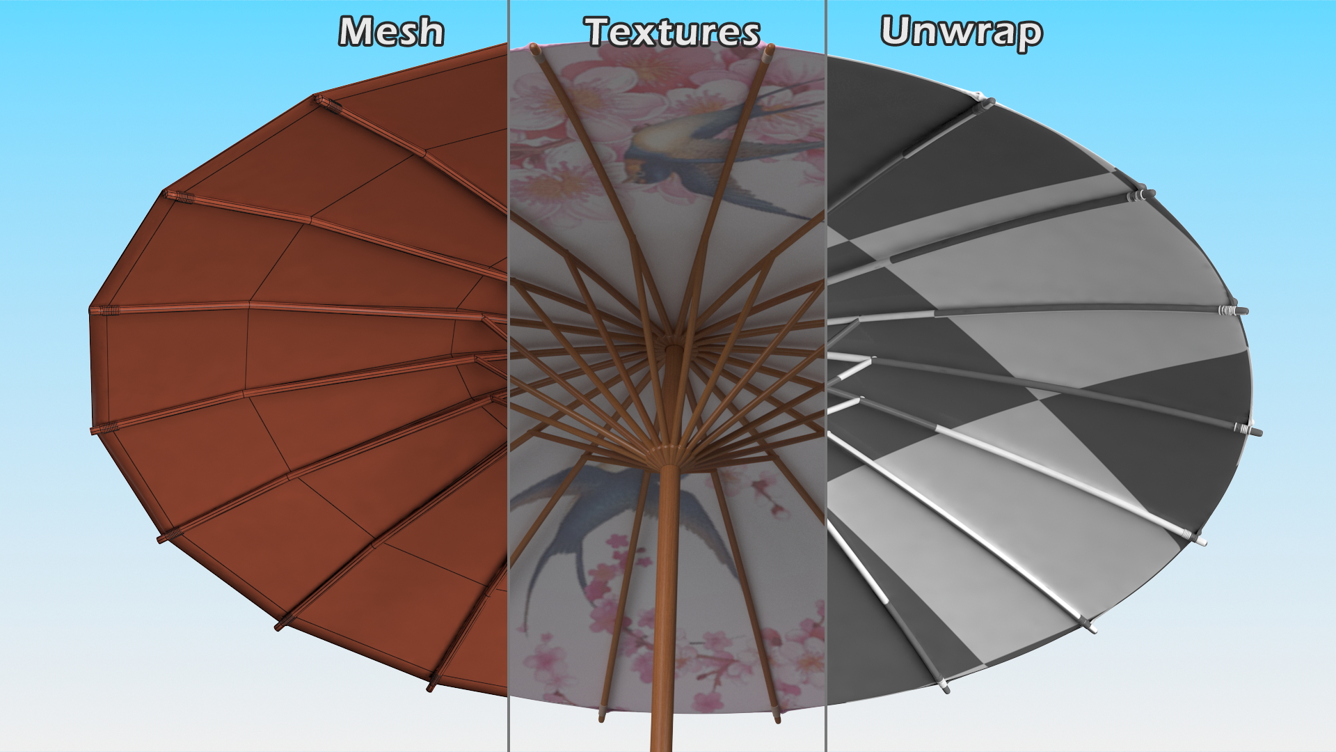 3D Traditional Chinese Umbrella model