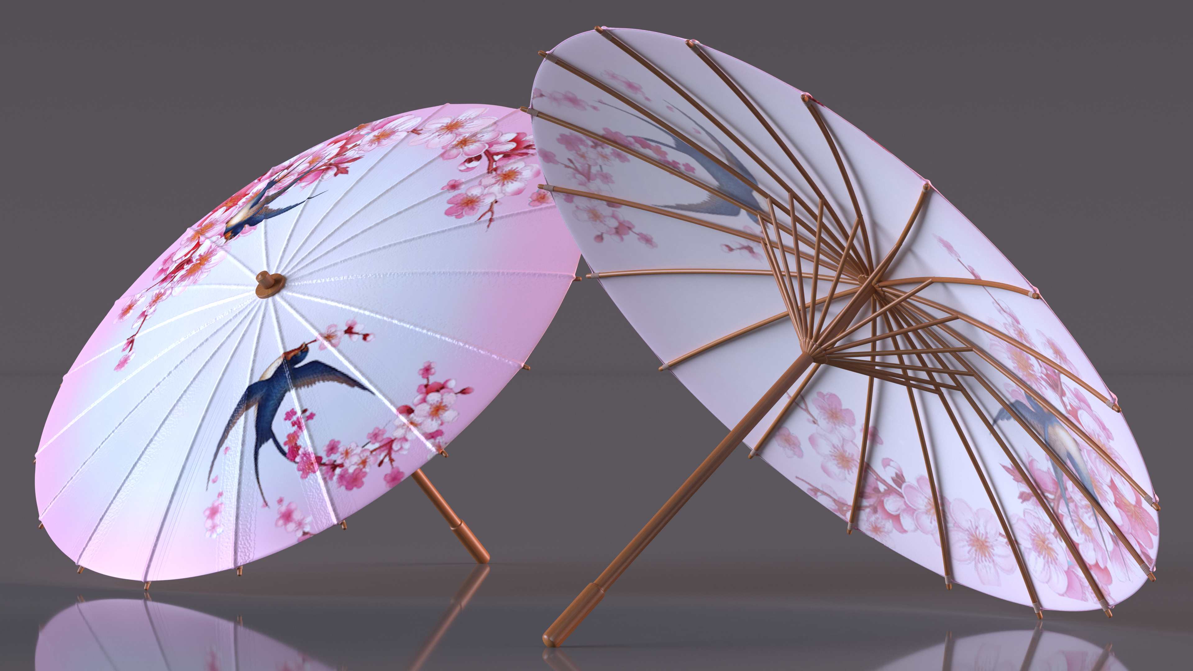 3D Traditional Chinese Umbrella model