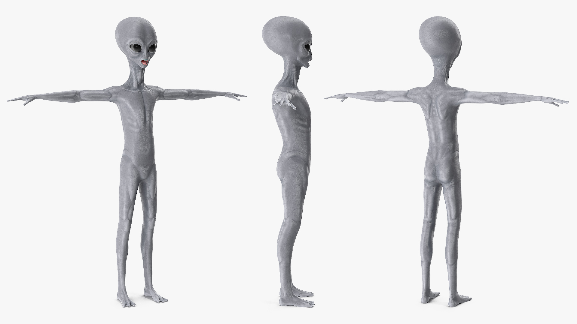 Alien Rigged 3D