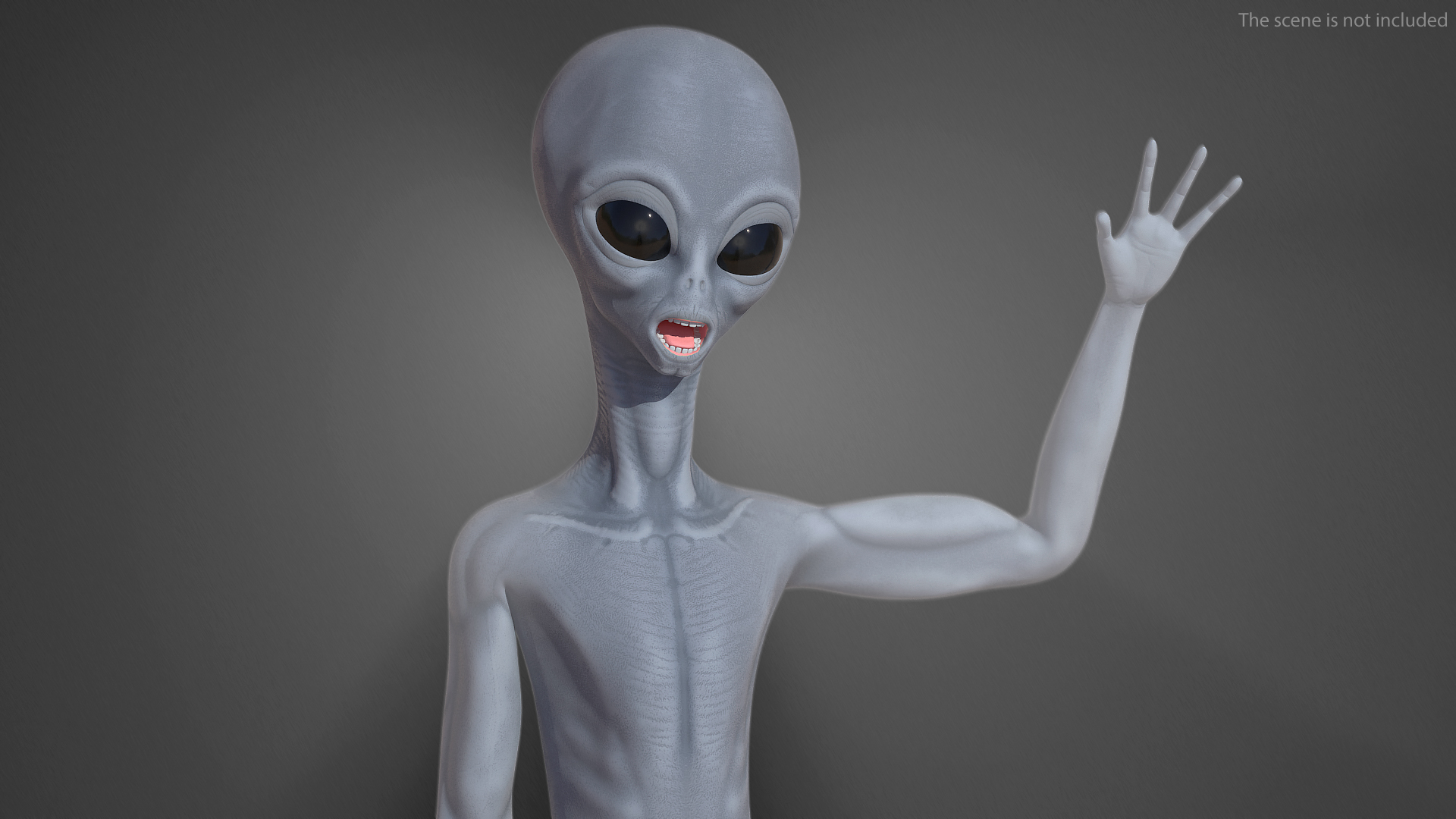 Alien Rigged 3D