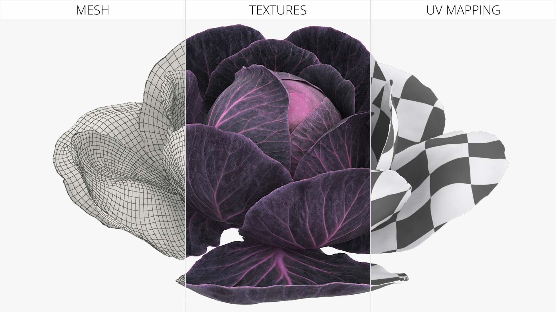 Leafy Cabbage Head Purple Dark - view 4