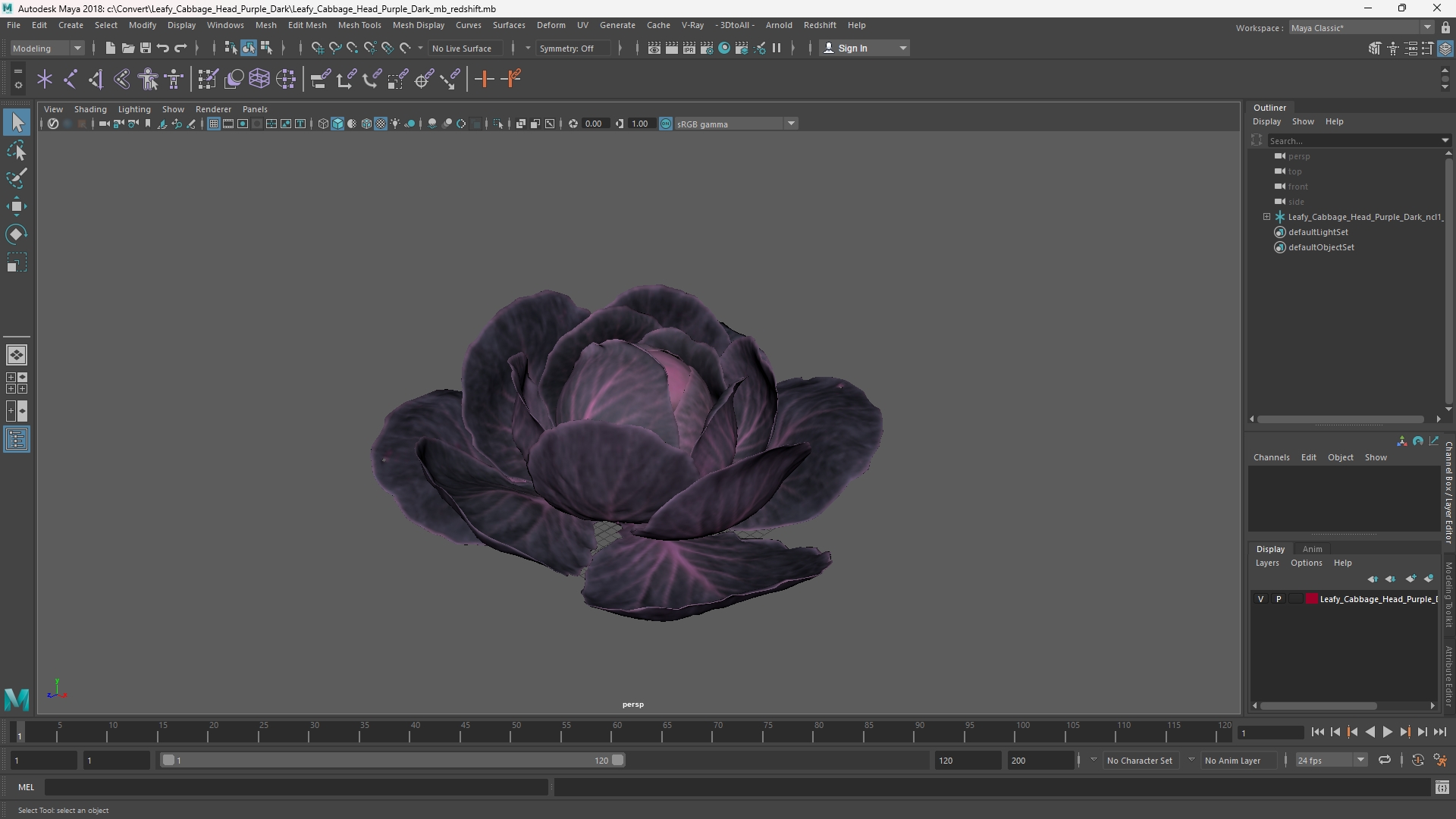 Leafy Cabbage Head Purple Dark - view 11