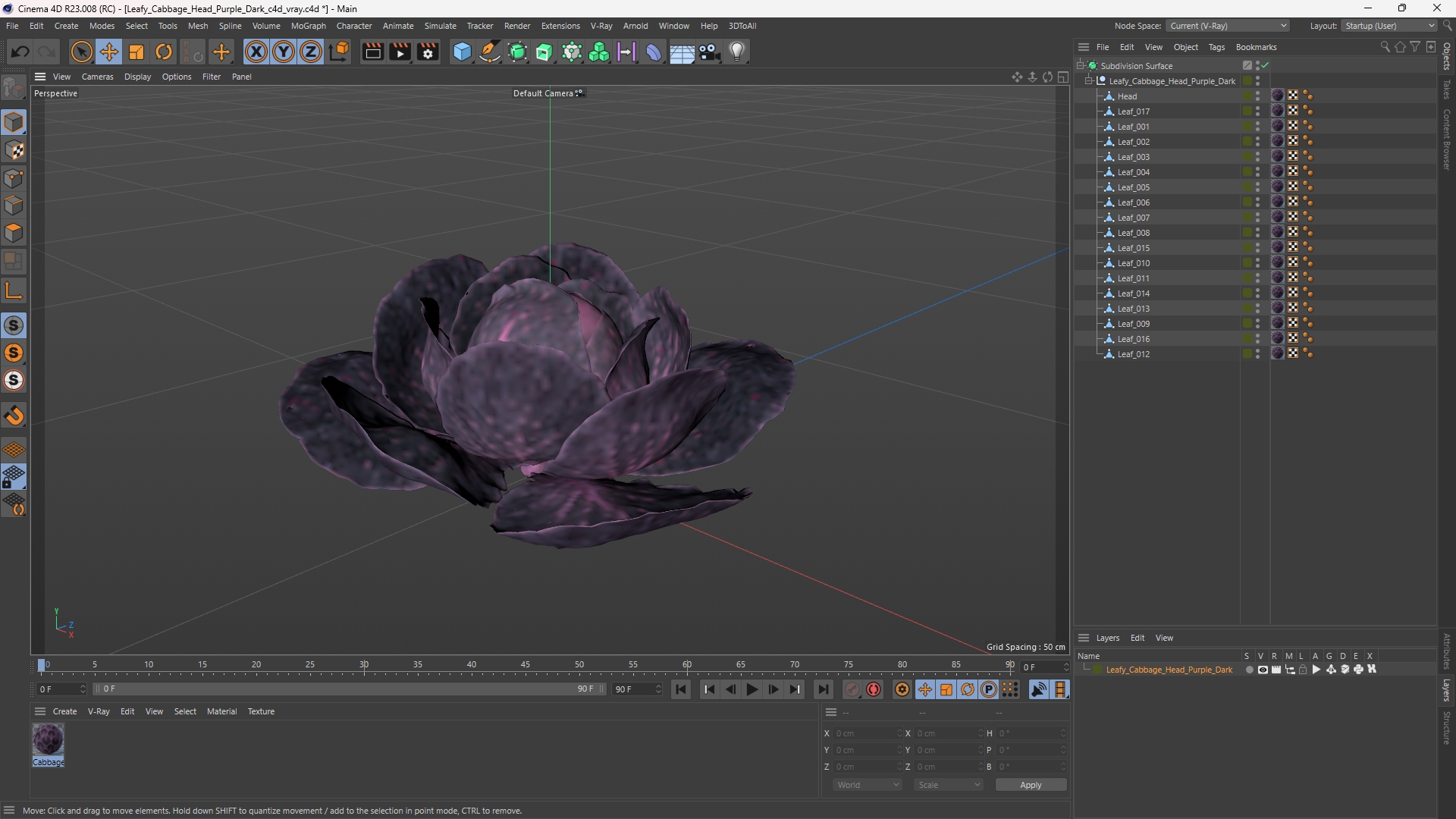 Leafy Cabbage Head Purple Dark - view 12