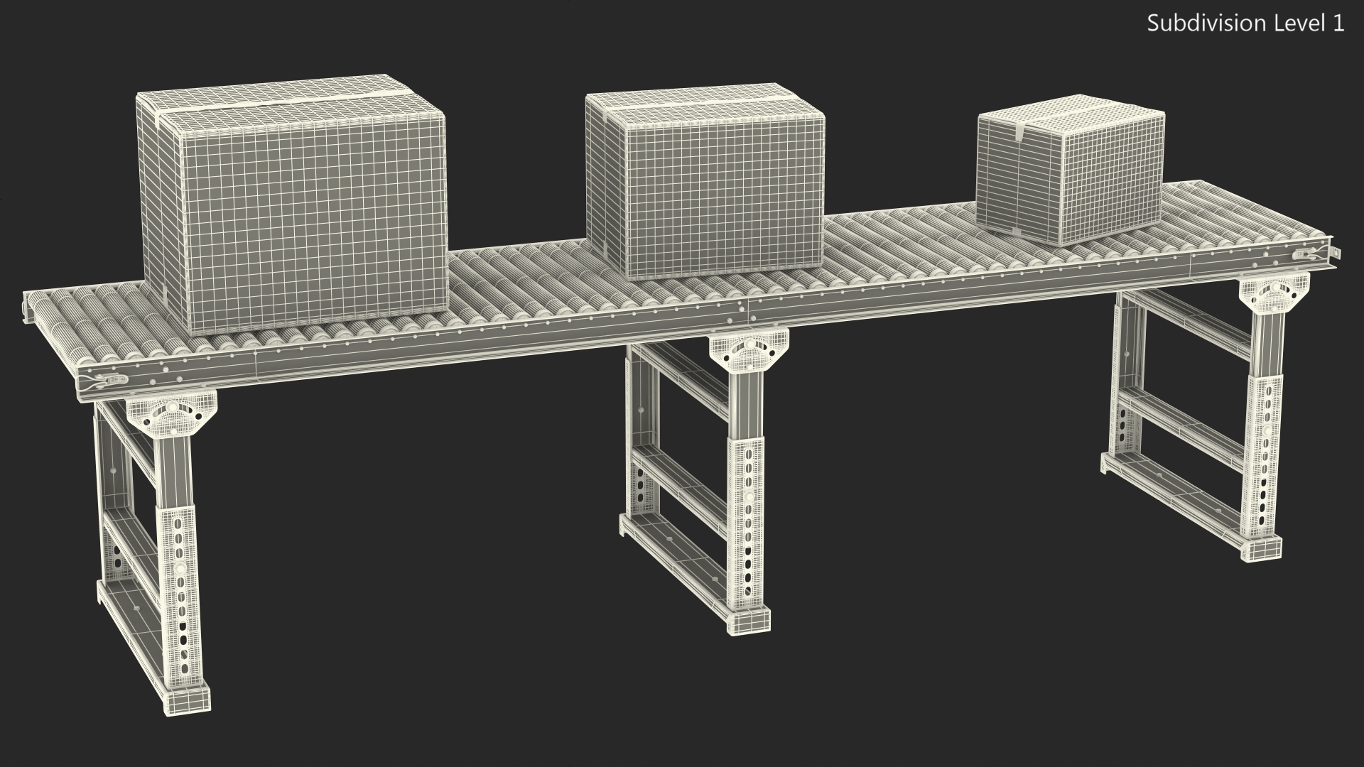 3D Conveyor Roller with Cardboard Boxes
