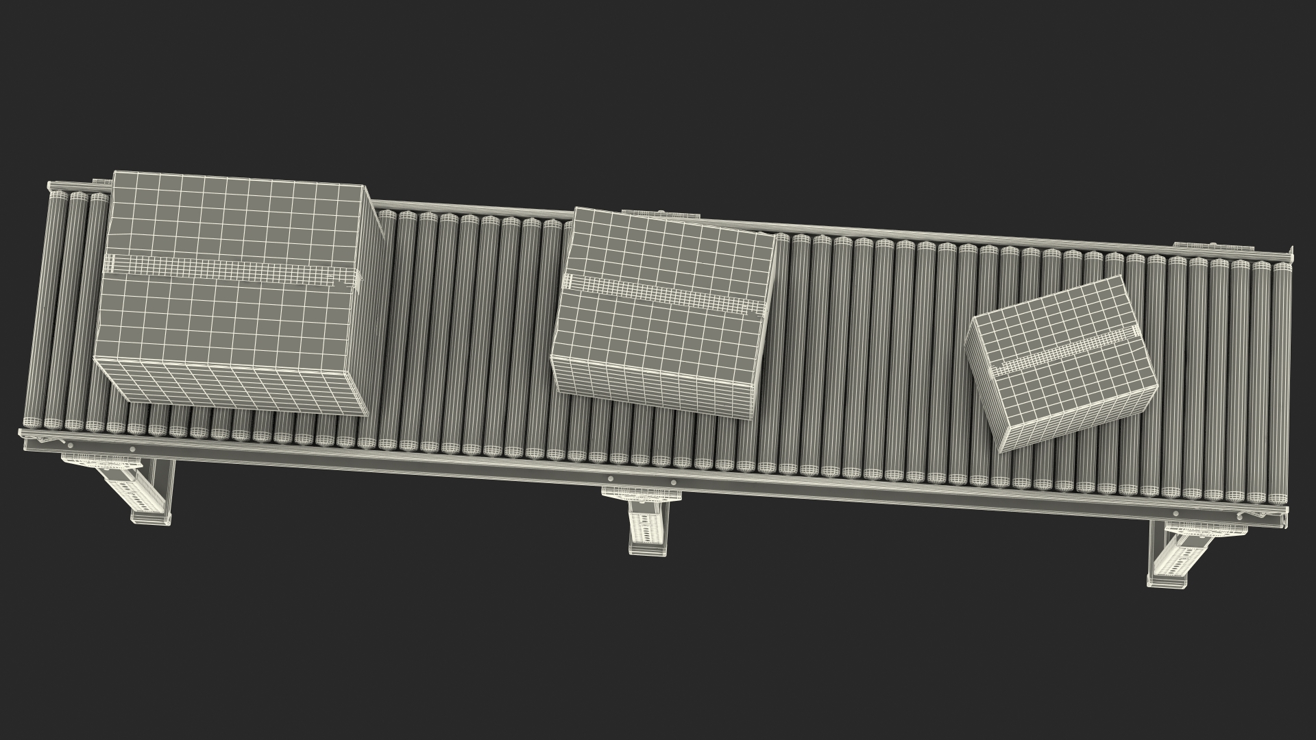 3D Conveyor Roller with Cardboard Boxes