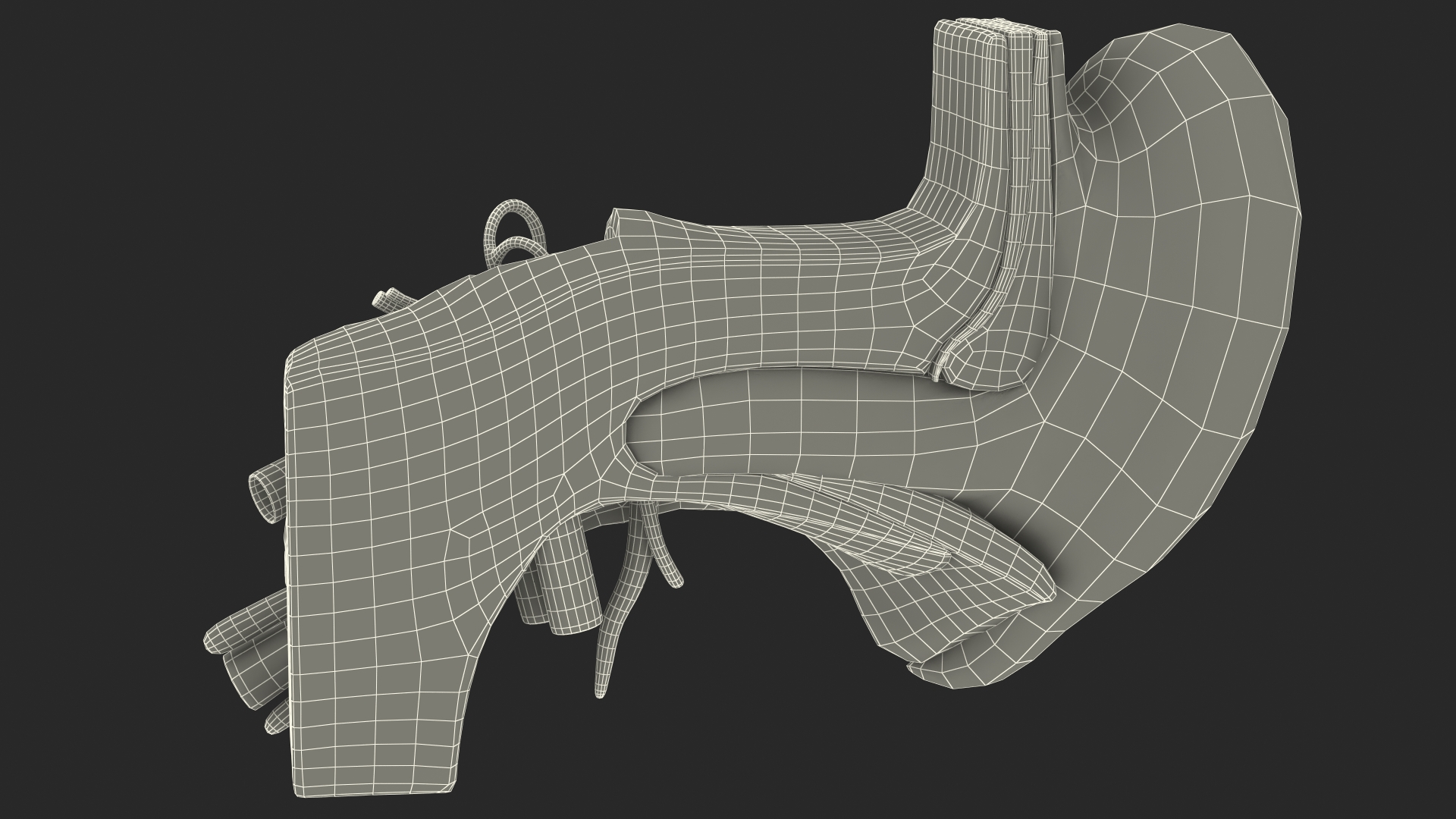 Human Ear Anatomy Structure 3D