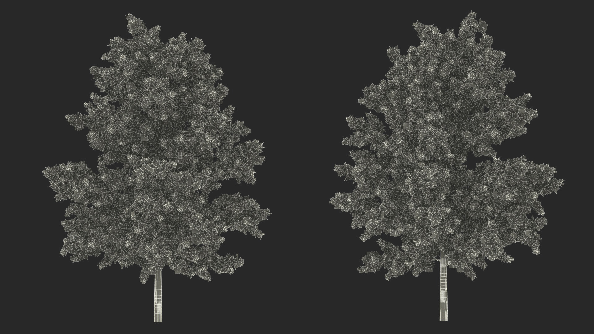 3D model Oak Tree