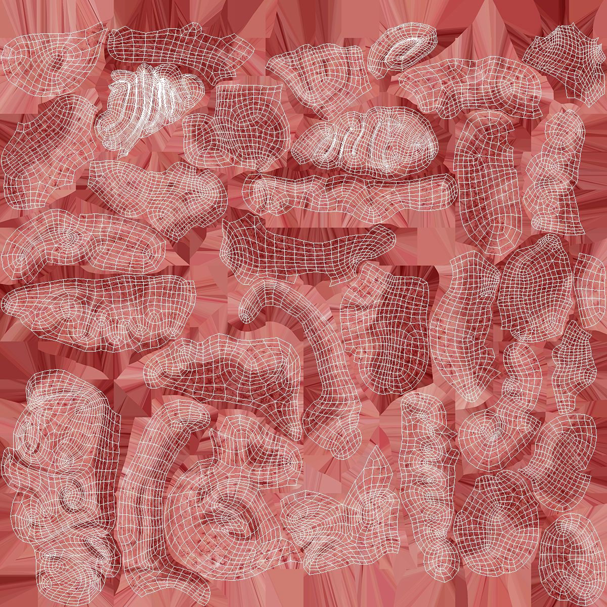 3D model Female Anatomy Brain