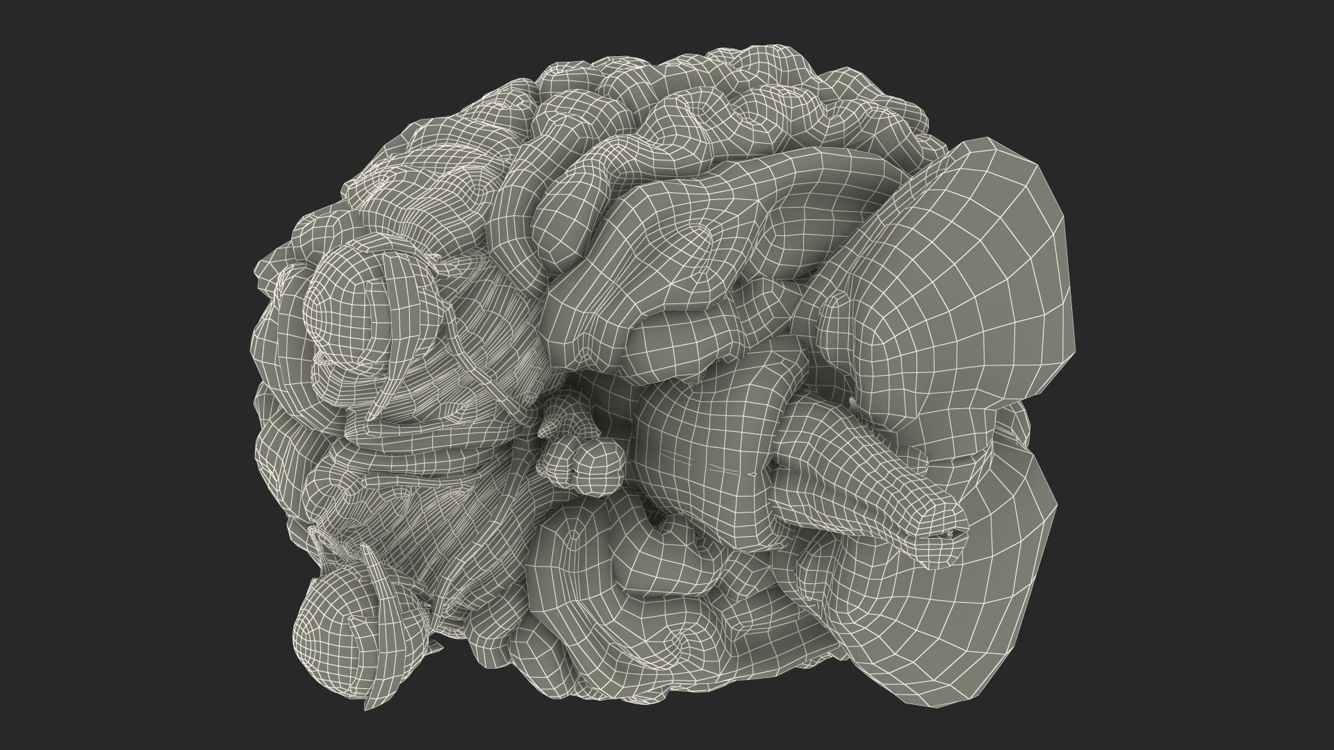 3D model Female Anatomy Brain